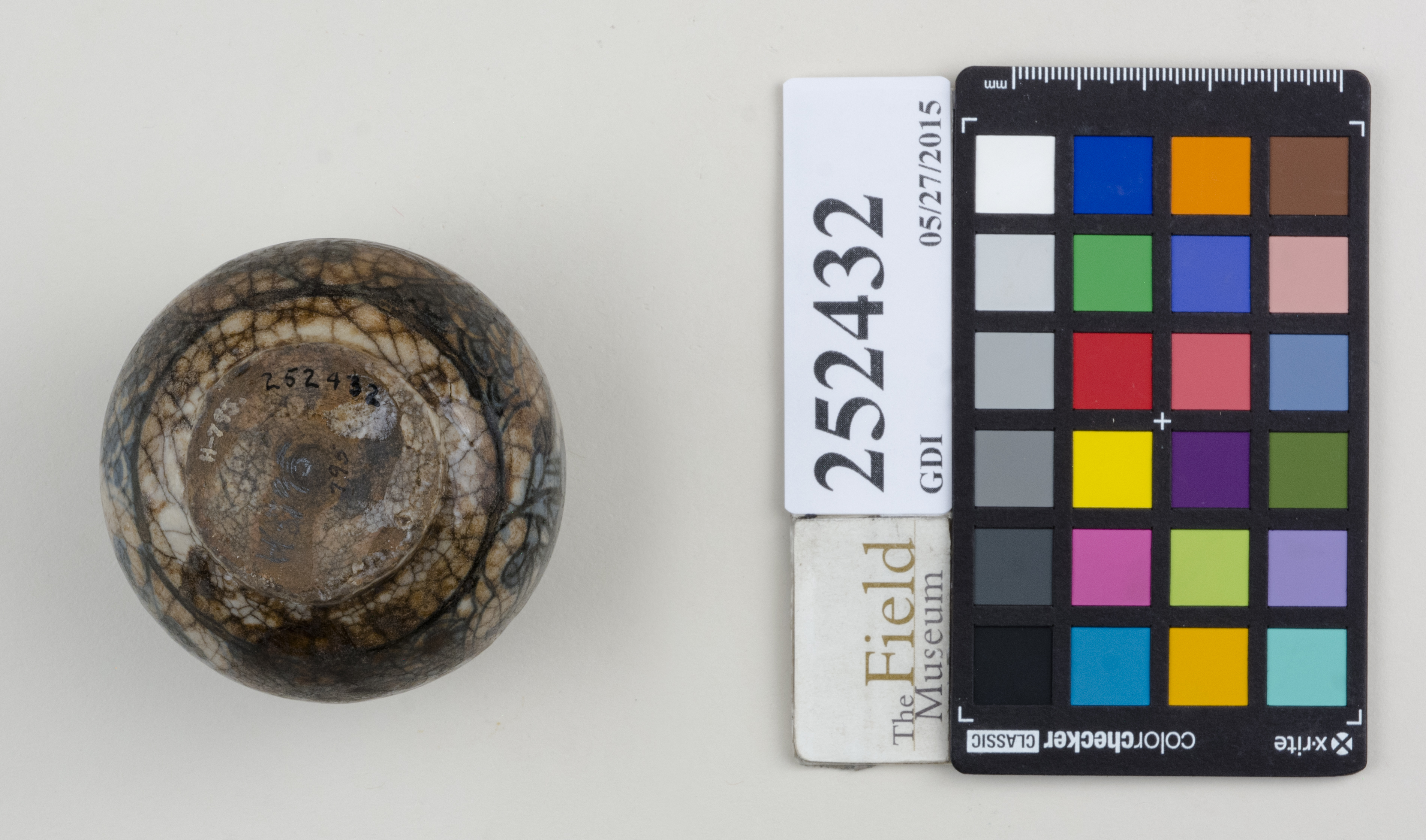 Bottom (c) Field Museum of Natural History - CC BY-NC 4.0