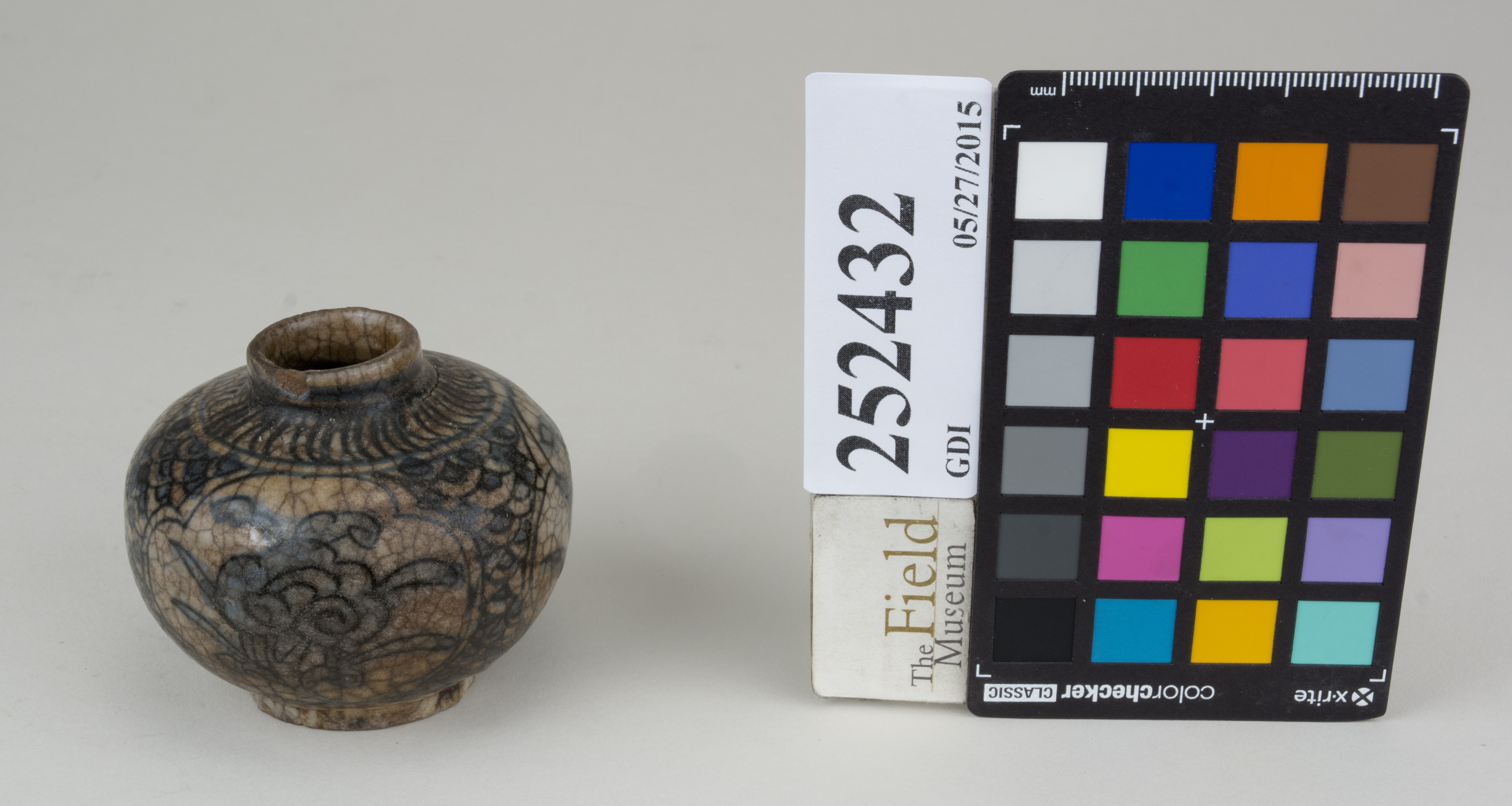 FrontAngle (c) Field Museum of Natural History - CC BY-NC 4.0