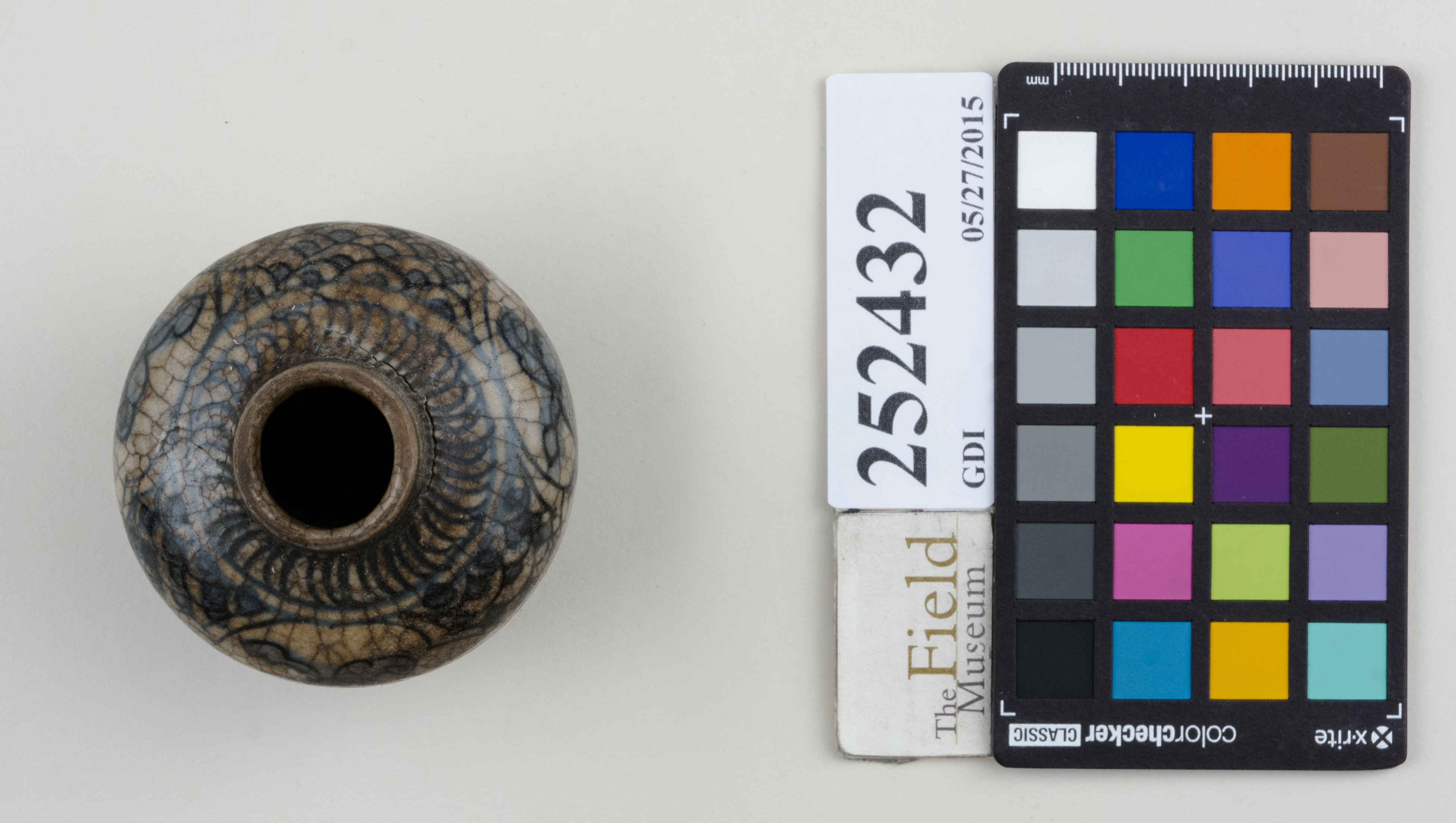 Top (c) Field Museum of Natural History - CC BY-NC 4.0