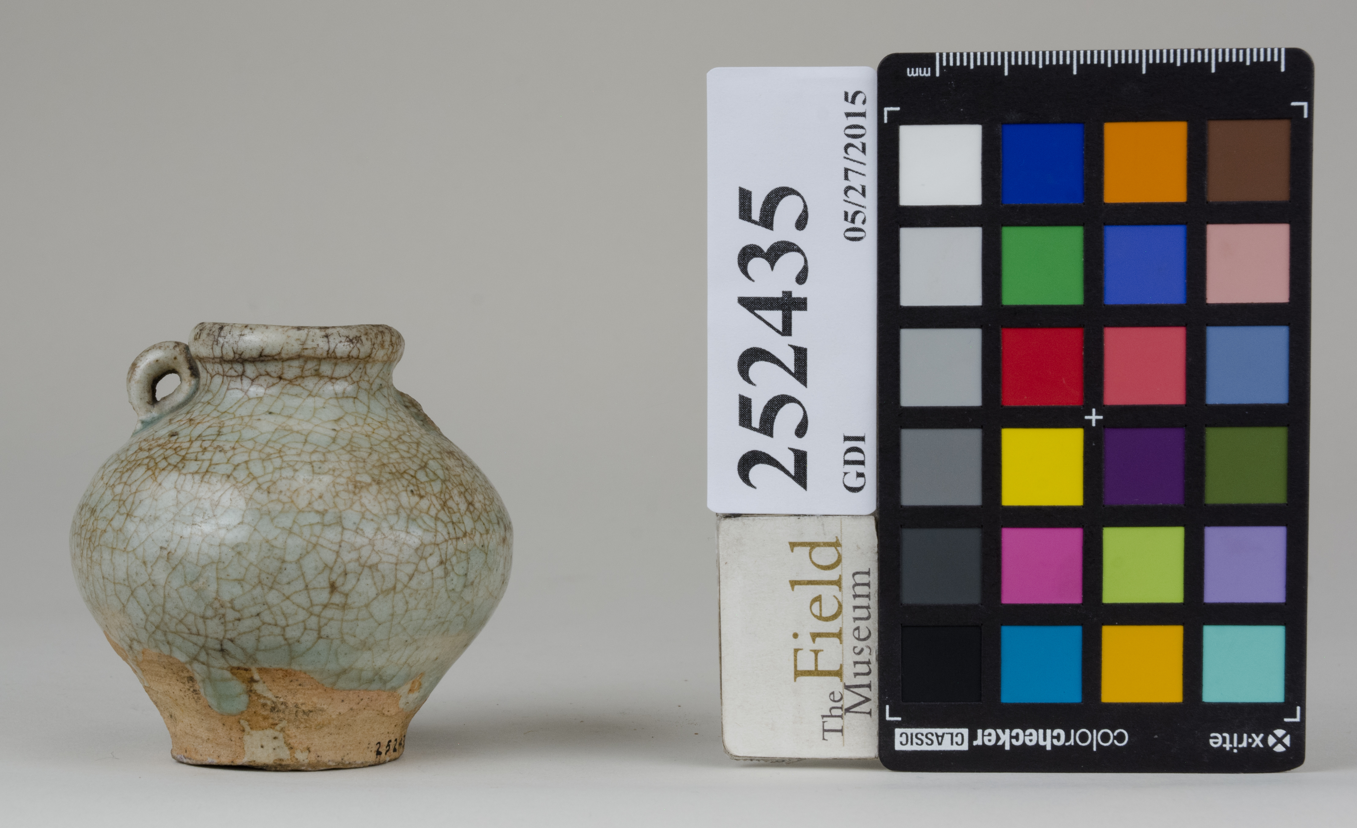 reference image, back (c) Field Museum of Natural History - CC BY-NC 4.0