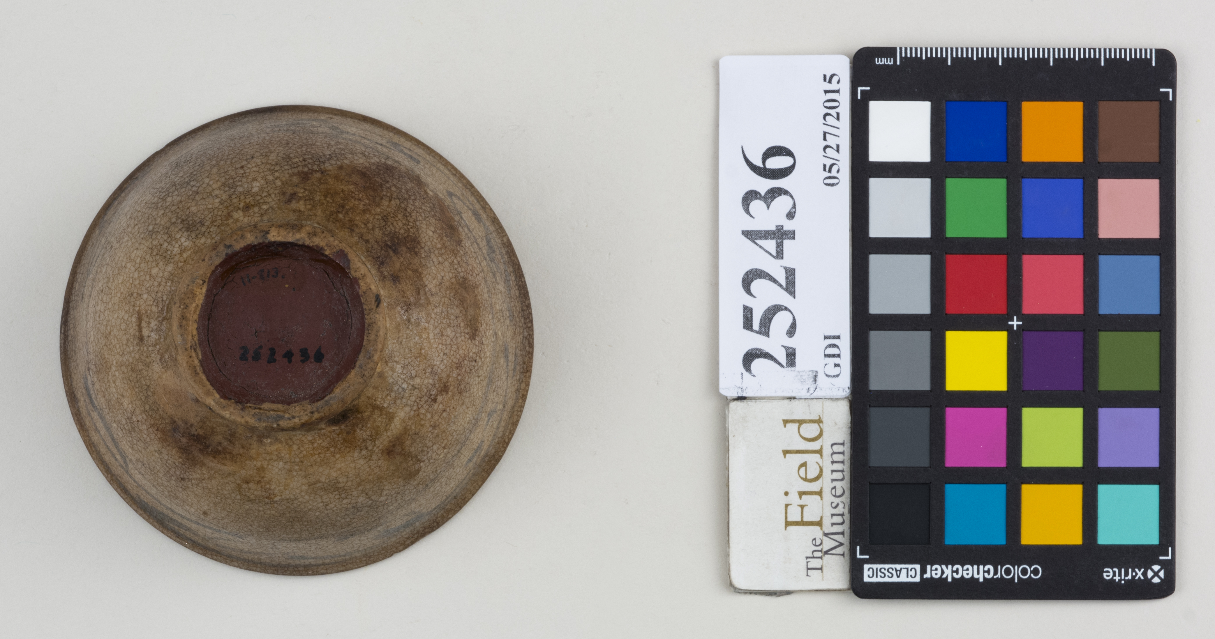 Bottom (c) Field Museum of Natural History - CC BY-NC 4.0