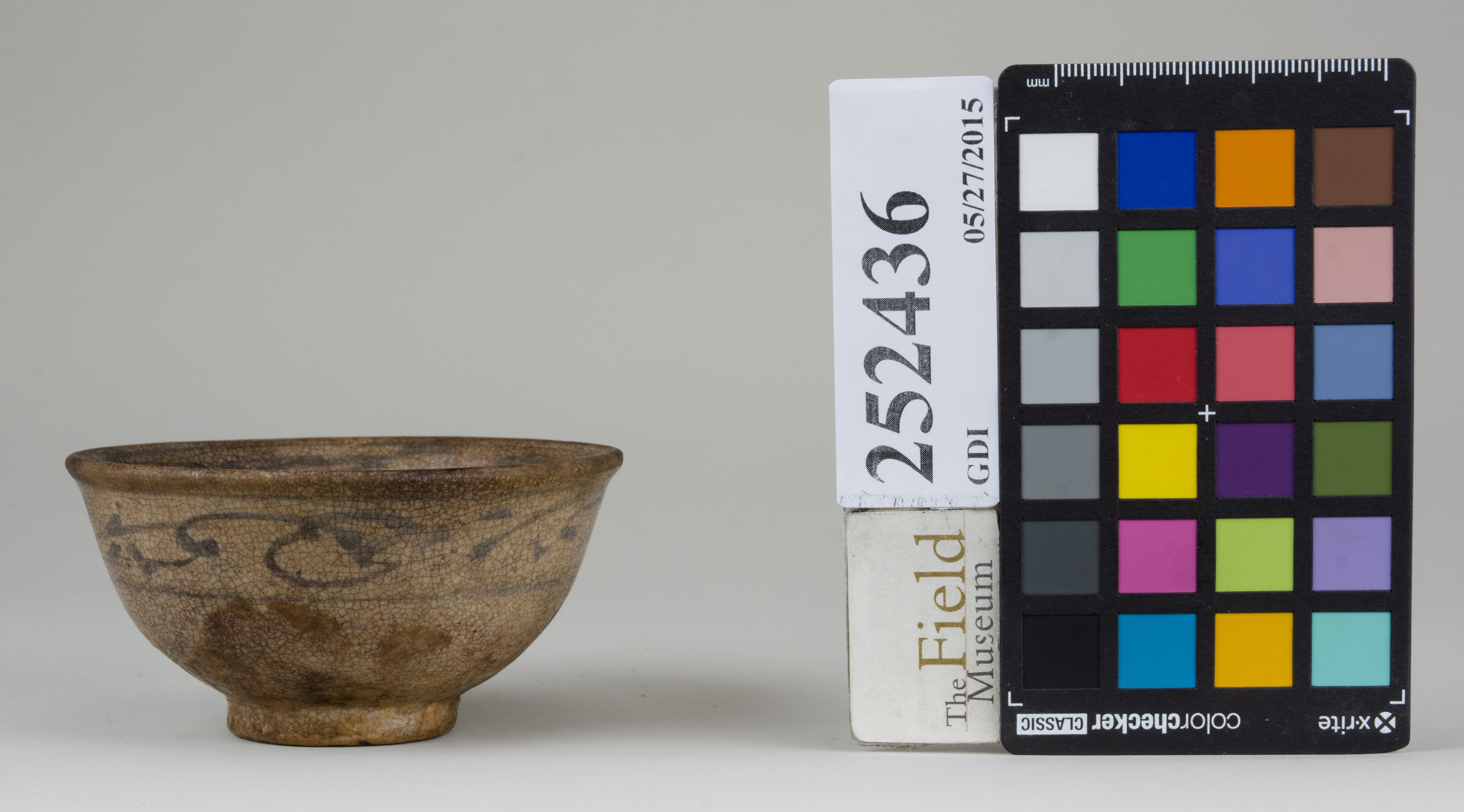 Front (c) Field Museum of Natural History - CC BY-NC 4.0