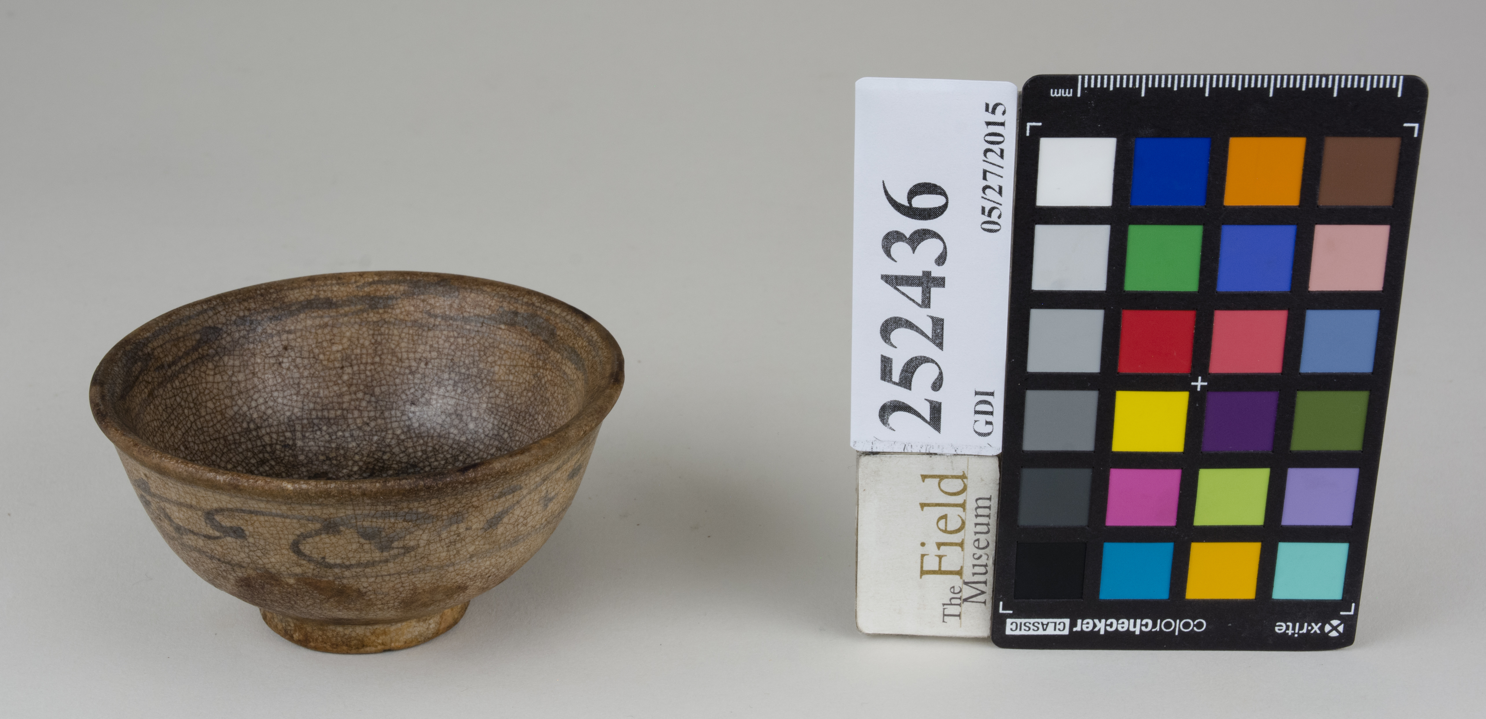 FrontAngle (c) Field Museum of Natural History - CC BY-NC 4.0