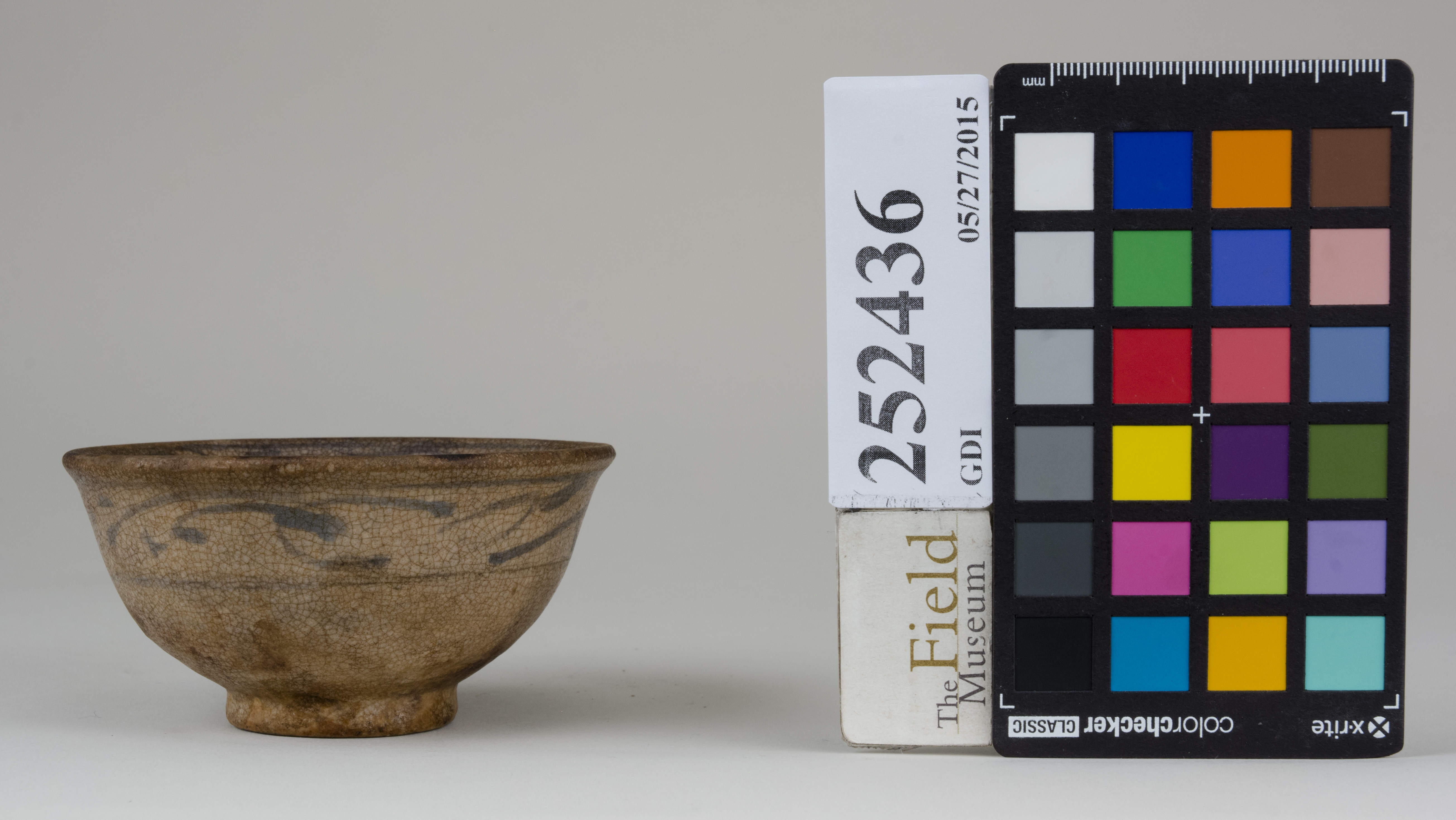 Left (c) Field Museum of Natural History - CC BY-NC 4.0