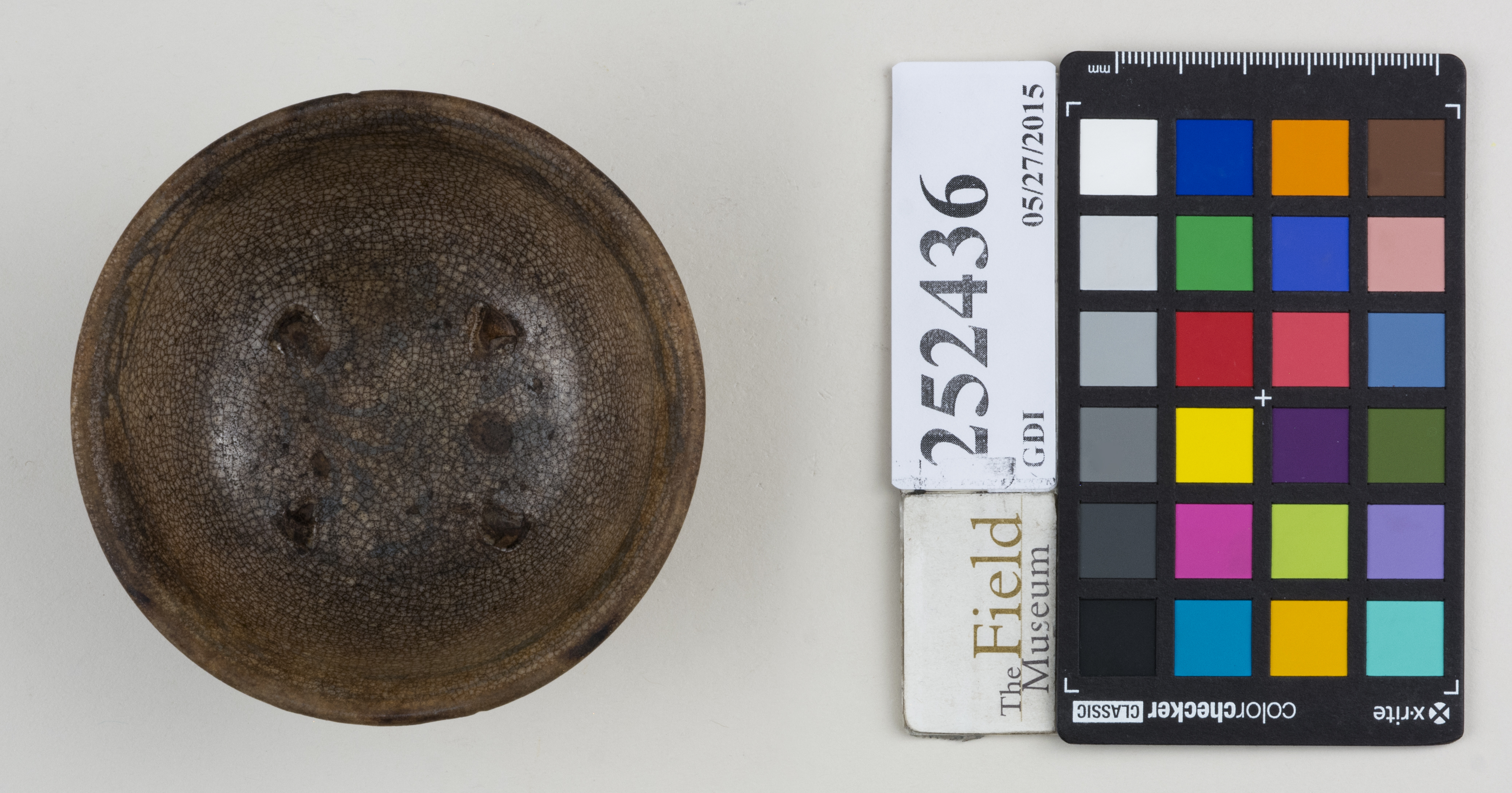 Top (c) Field Museum of Natural History - CC BY-NC 4.0