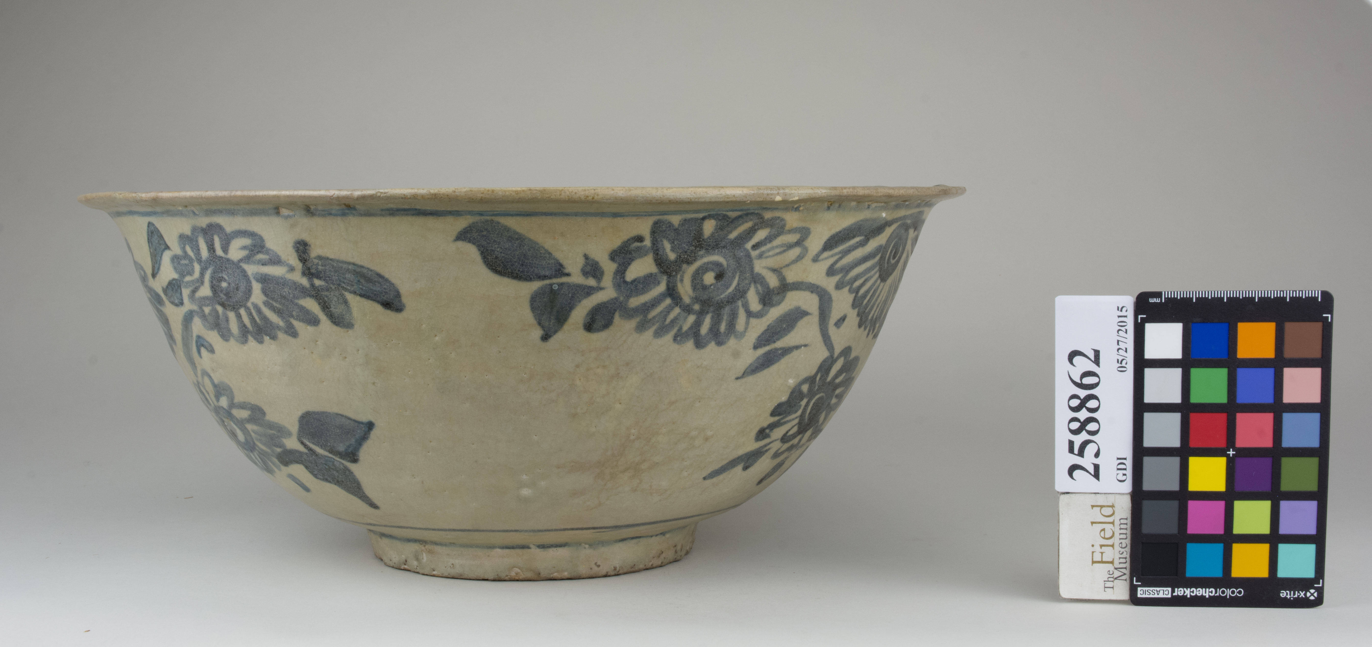 Right (c) Field Museum of Natural History - CC BY-NC 4.0