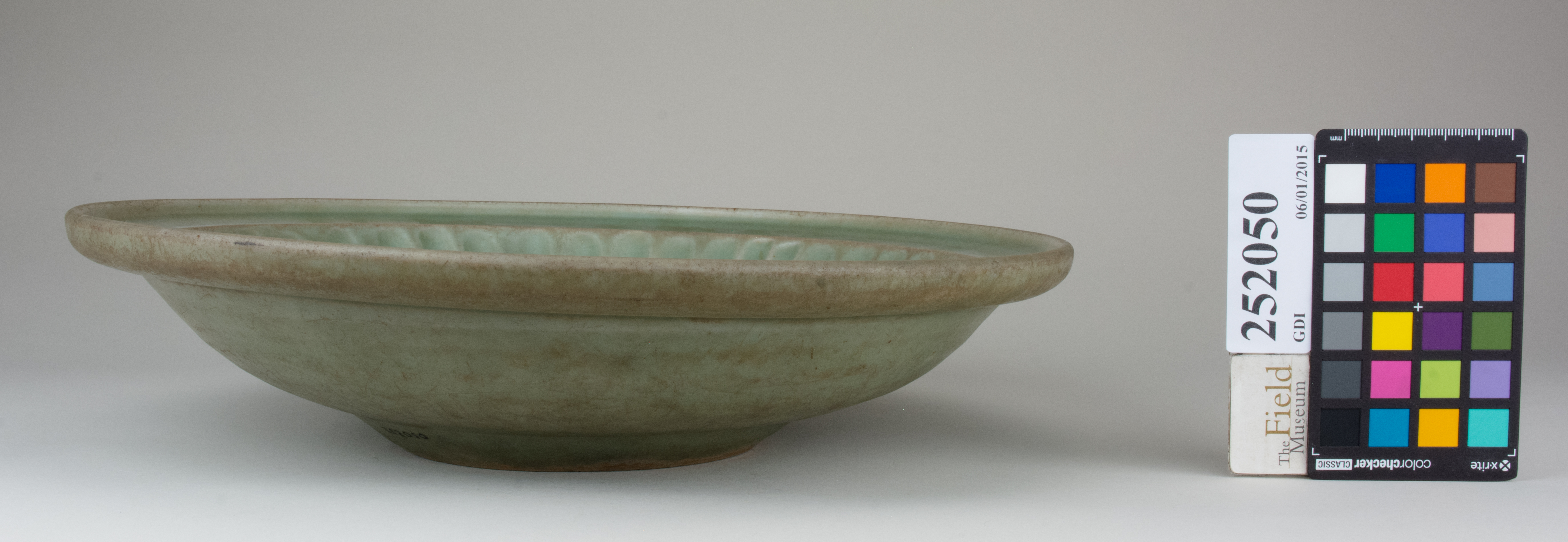 reference image, back (c) Field Museum of Natural History - CC BY-NC 4.0