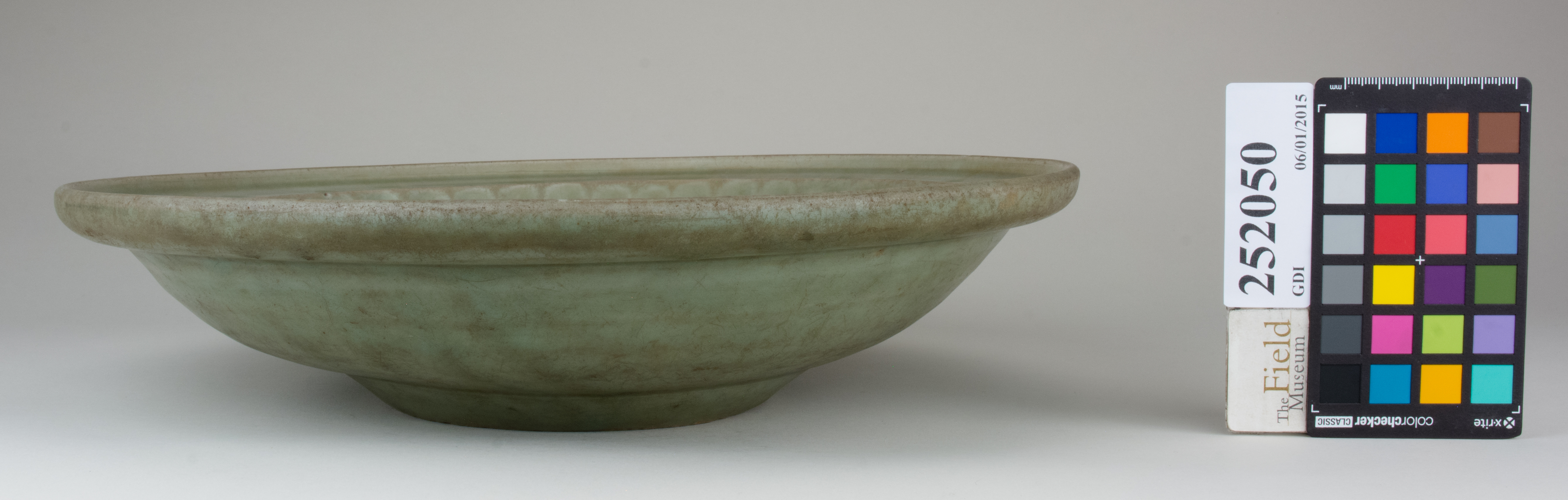 Front (c) Field Museum of Natural History - CC BY-NC 4.0