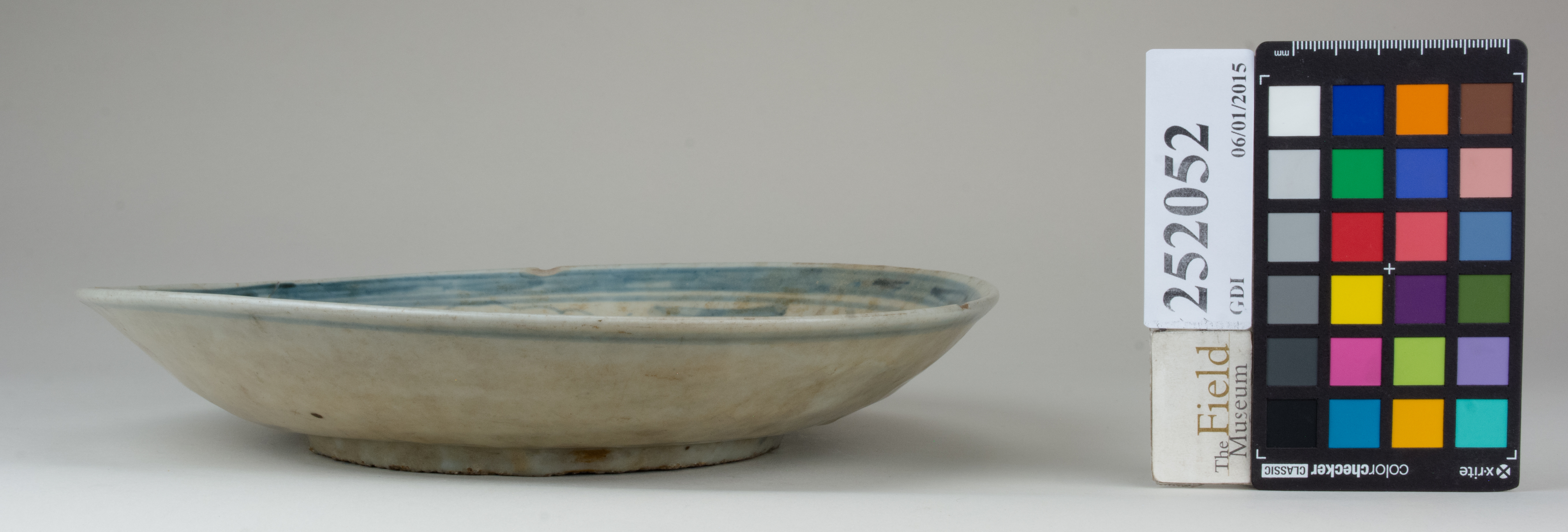 reference image, back (c) Field Museum of Natural History - CC BY-NC 4.0