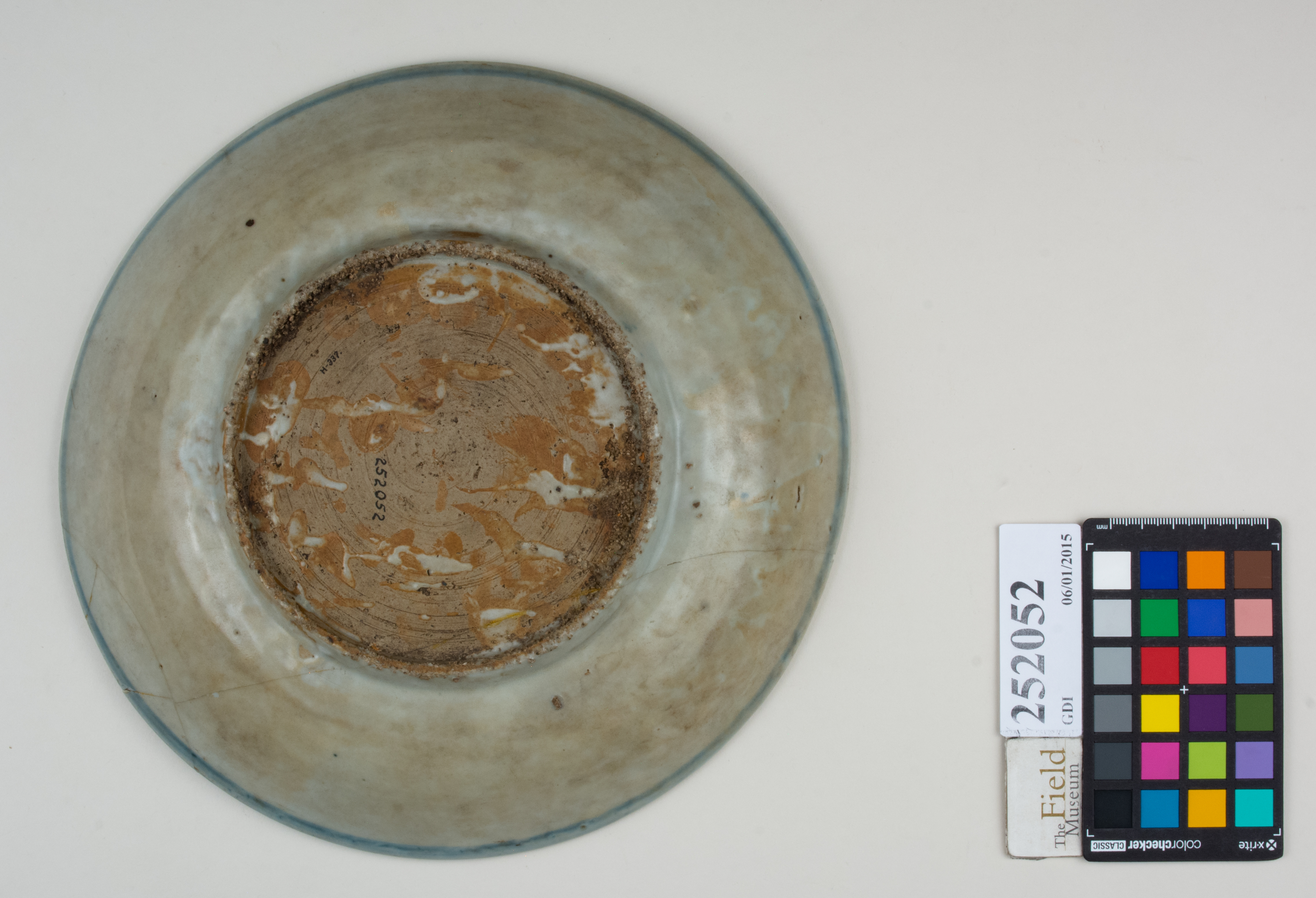 Bottom (c) Field Museum of Natural History - CC BY-NC 4.0