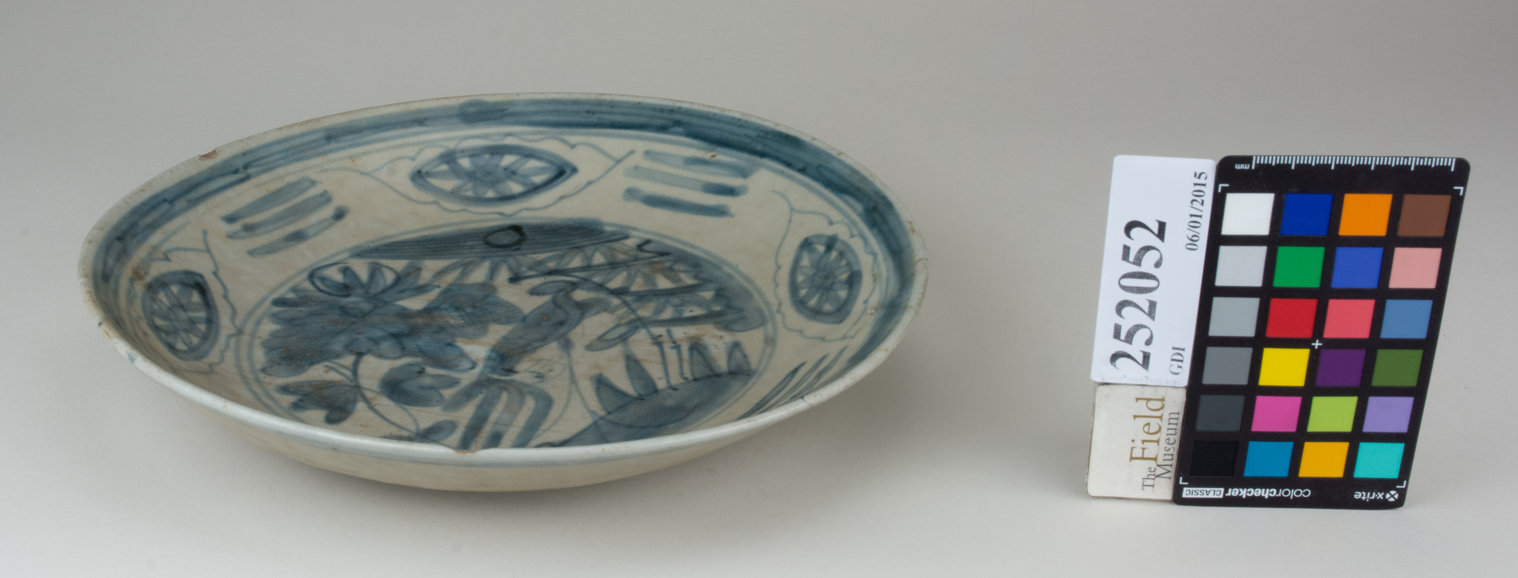 FrontAngle (c) Field Museum of Natural History - CC BY-NC 4.0