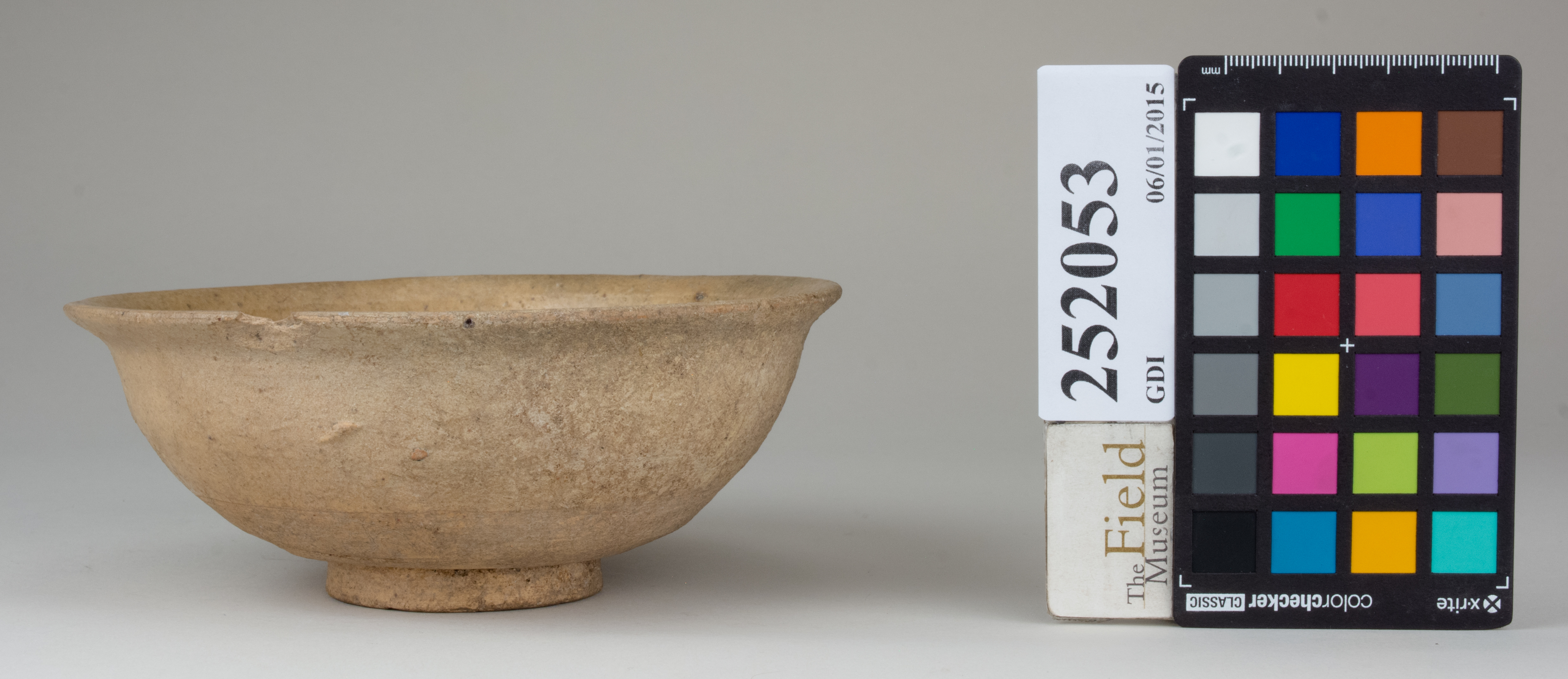 reference image, back (c) Field Museum of Natural History - CC BY-NC 4.0