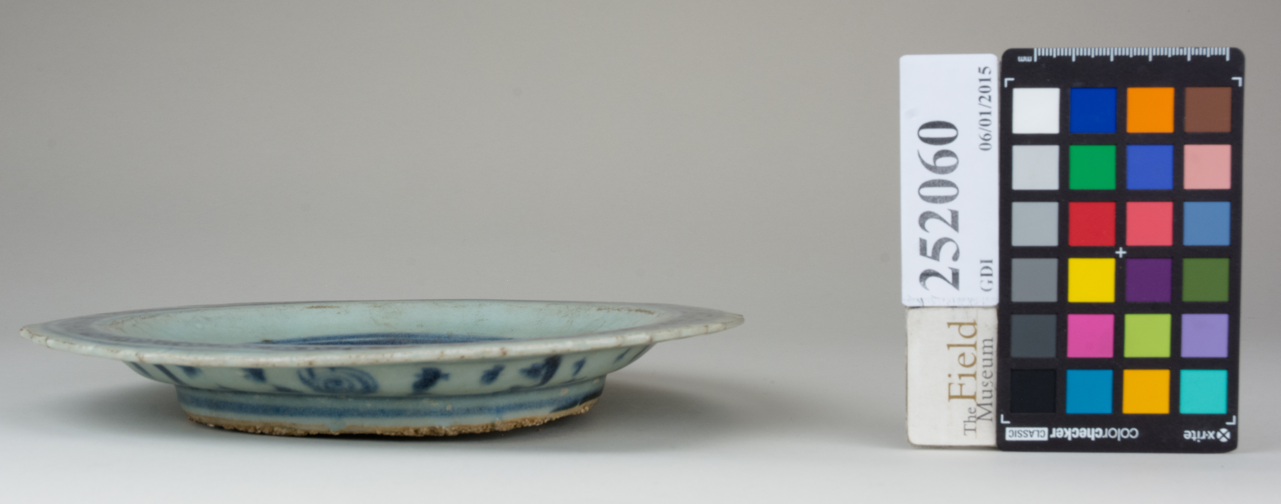 reference image, back (c) Field Museum of Natural History - CC BY-NC 4.0