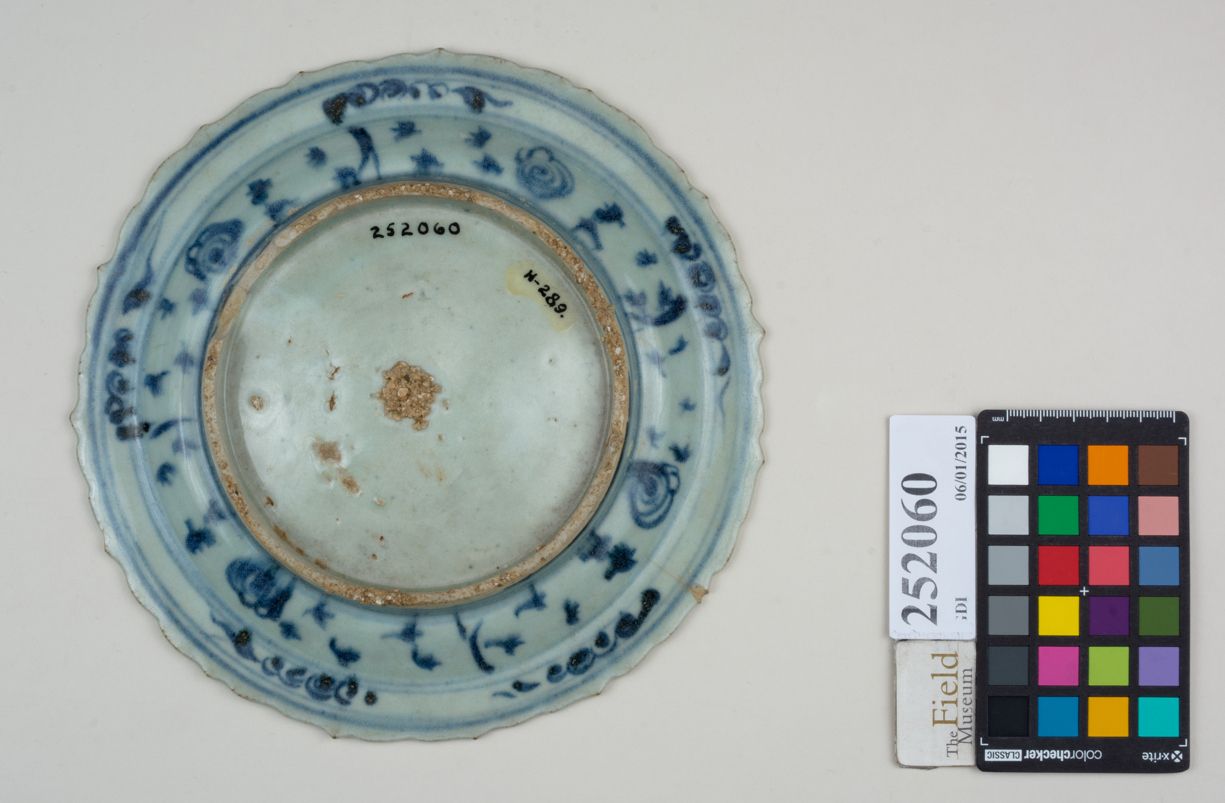 Bottom (c) Field Museum of Natural History - CC BY-NC 4.0