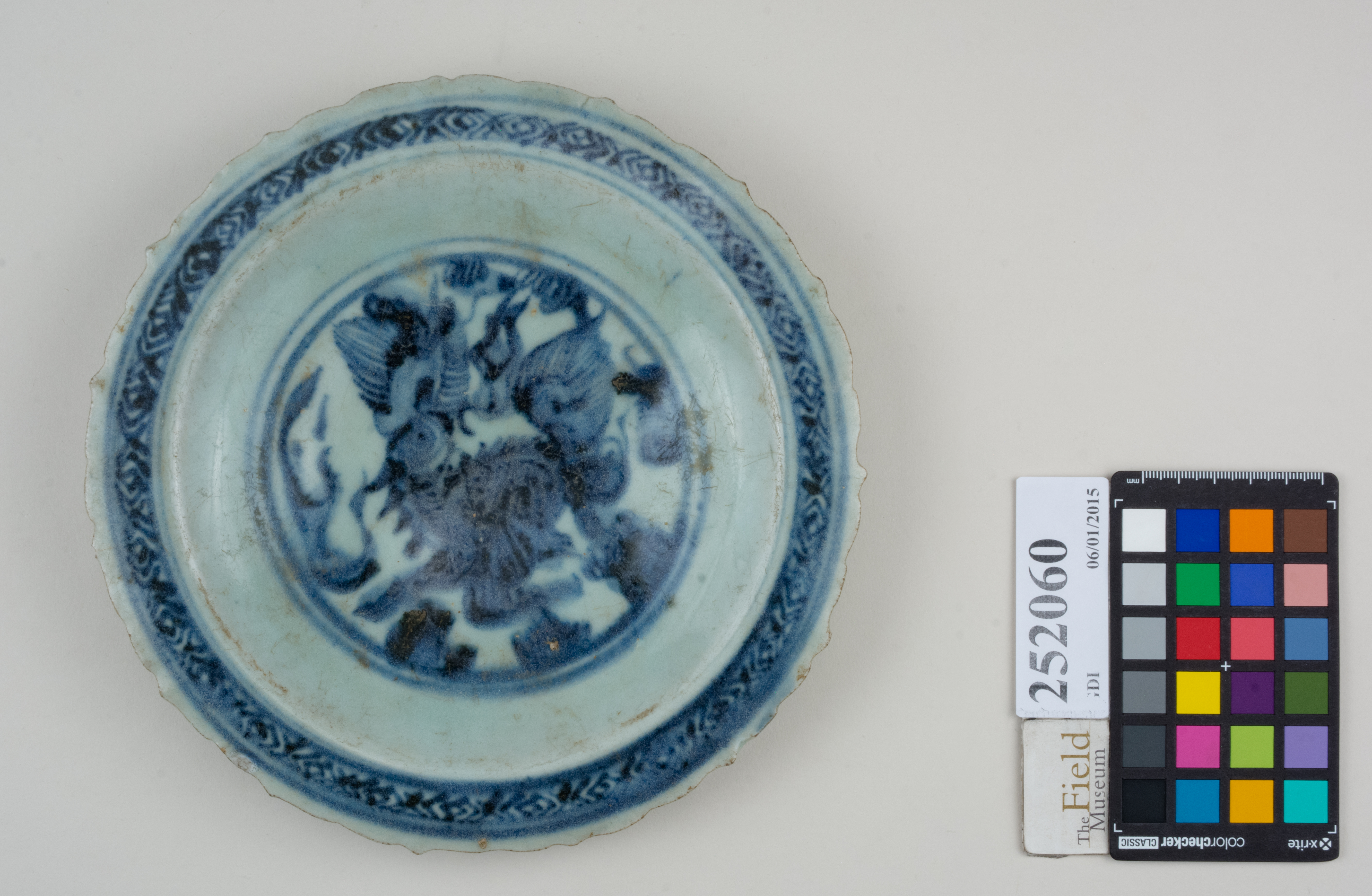 Top (c) Field Museum of Natural History - CC BY-NC 4.0