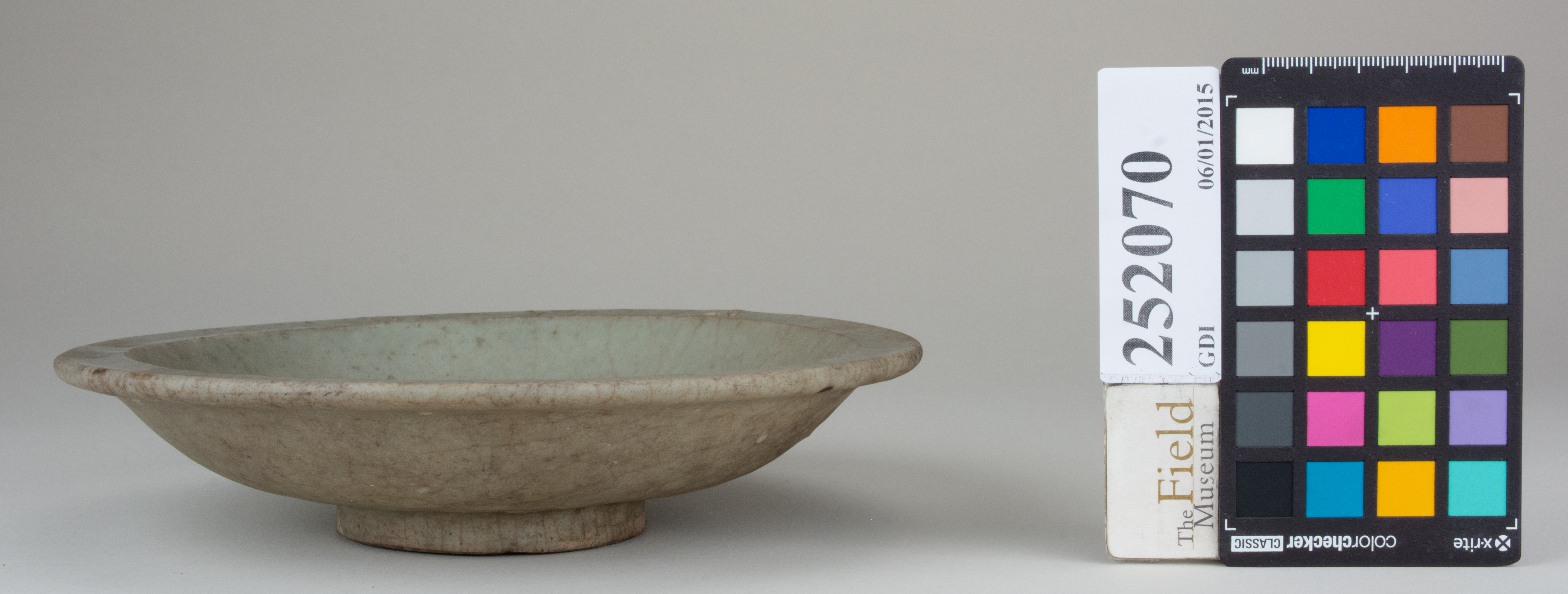 reference image, back (c) Field Museum of Natural History - CC BY-NC 4.0