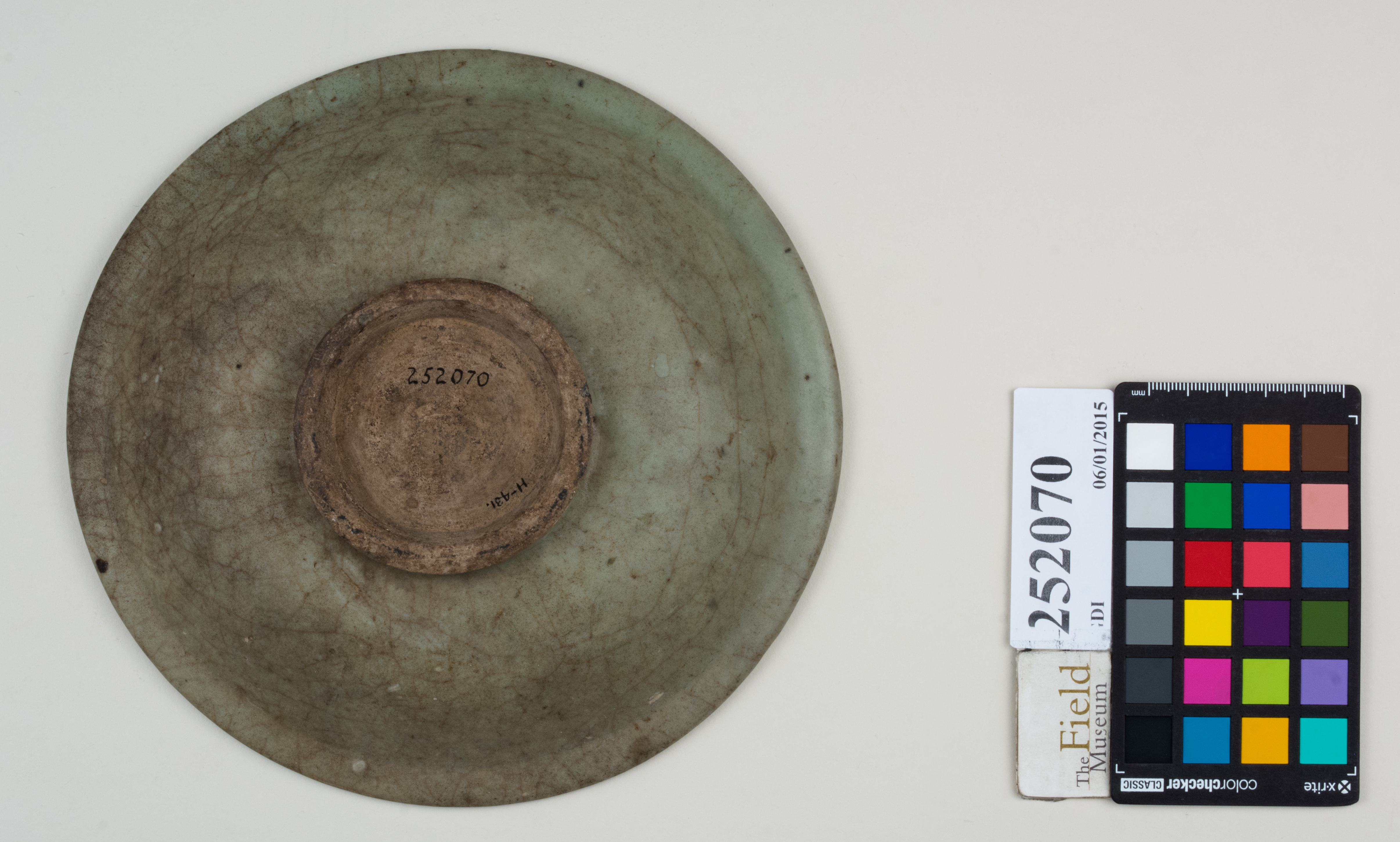 Bottom (c) Field Museum of Natural History - CC BY-NC 4.0