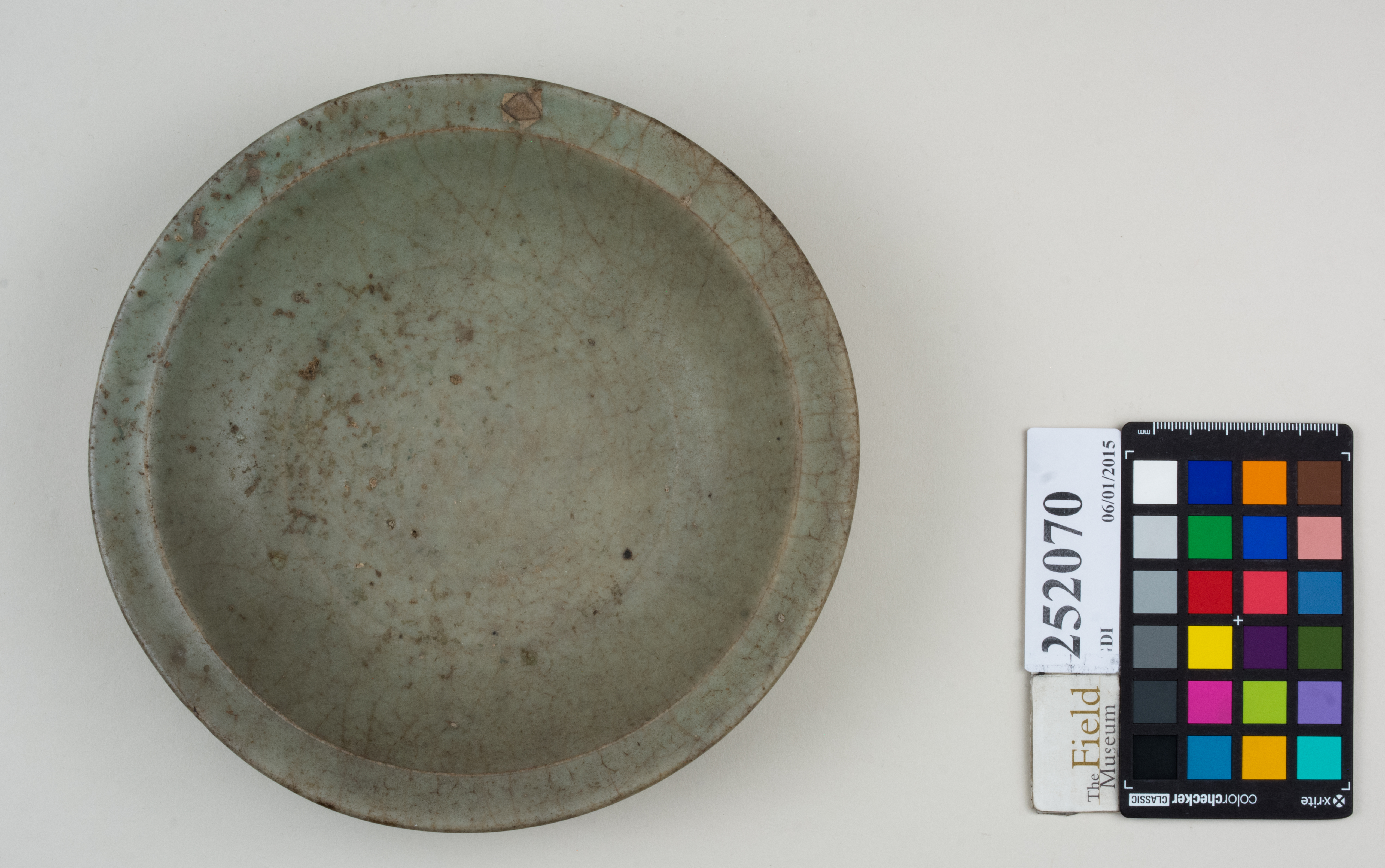 Top (c) Field Museum of Natural History - CC BY-NC 4.0