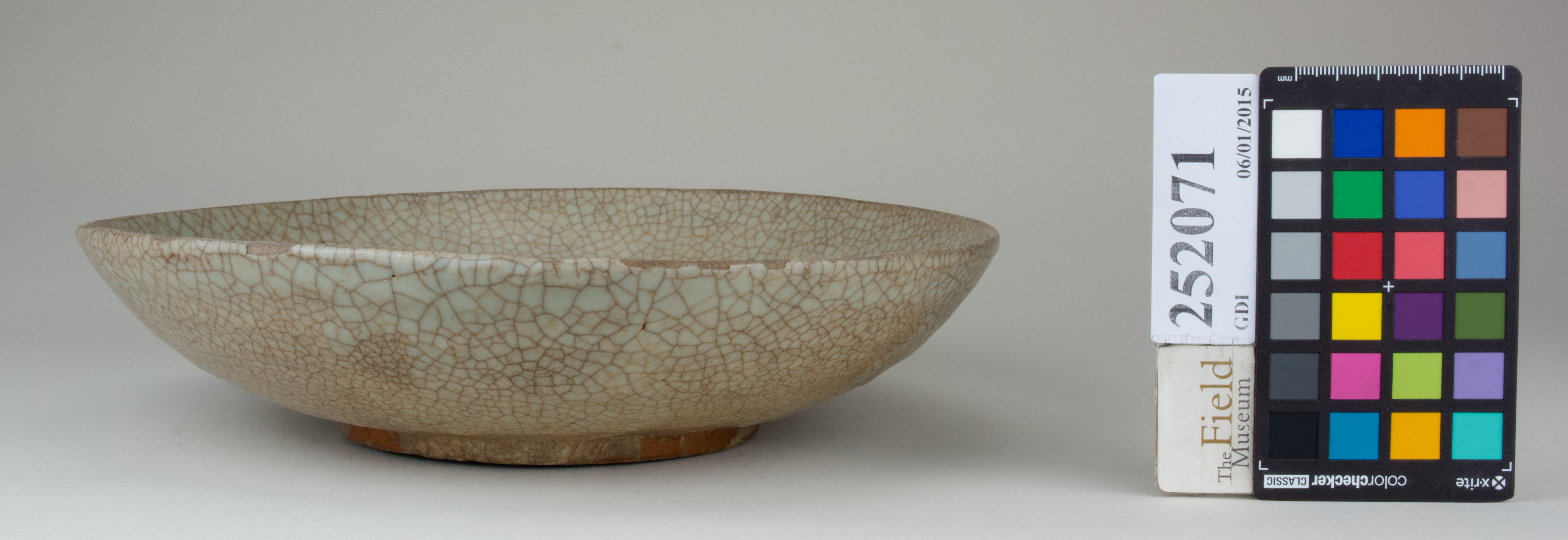 reference image, back (c) Field Museum of Natural History - CC BY-NC 4.0