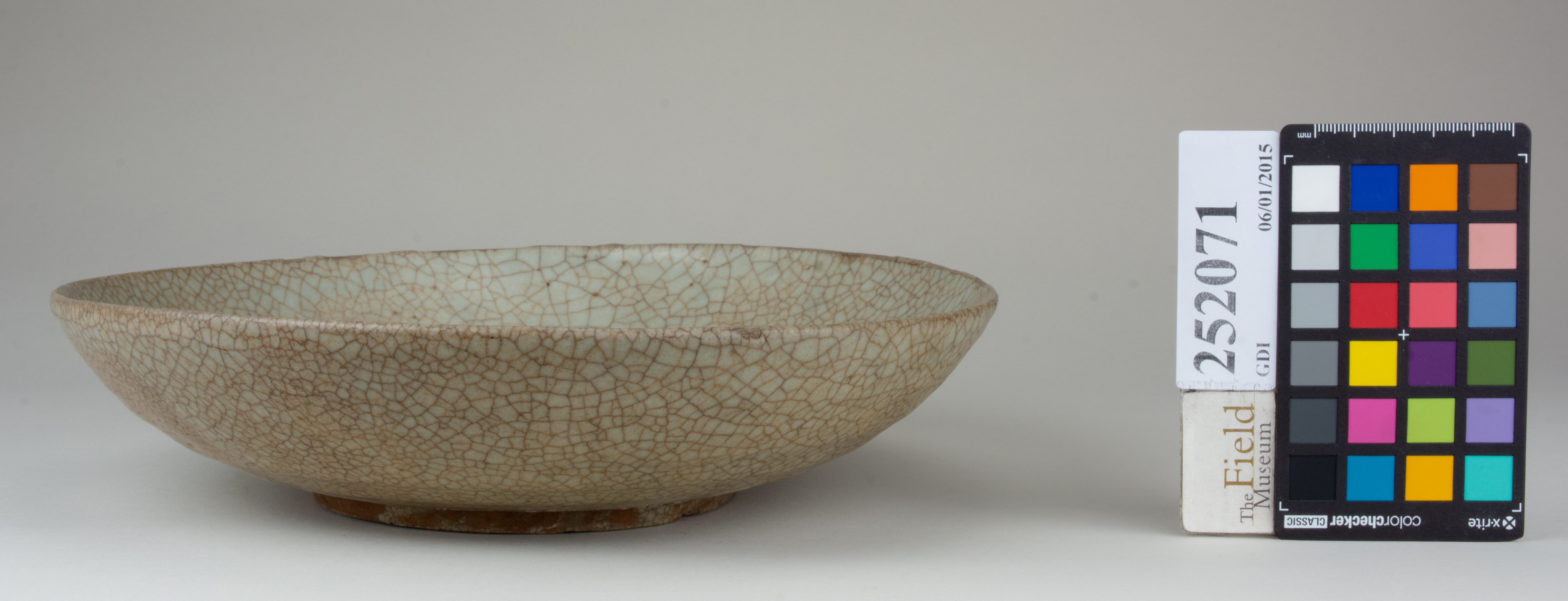 Front (c) Field Museum of Natural History - CC BY-NC 4.0