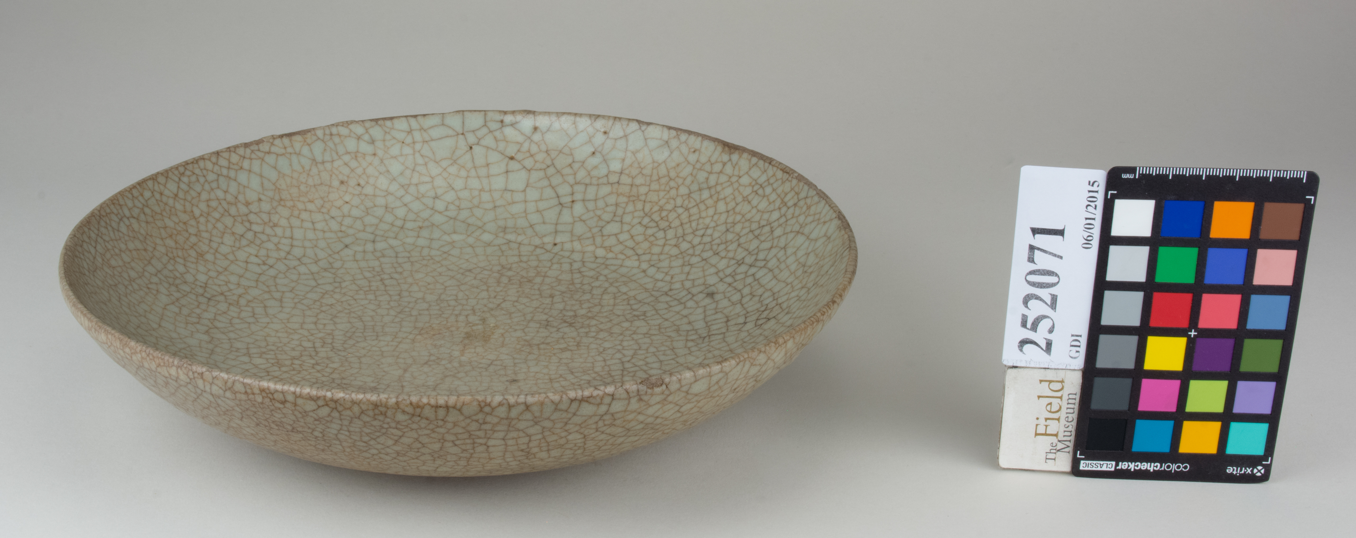 FrontAngle (c) Field Museum of Natural History - CC BY-NC 4.0