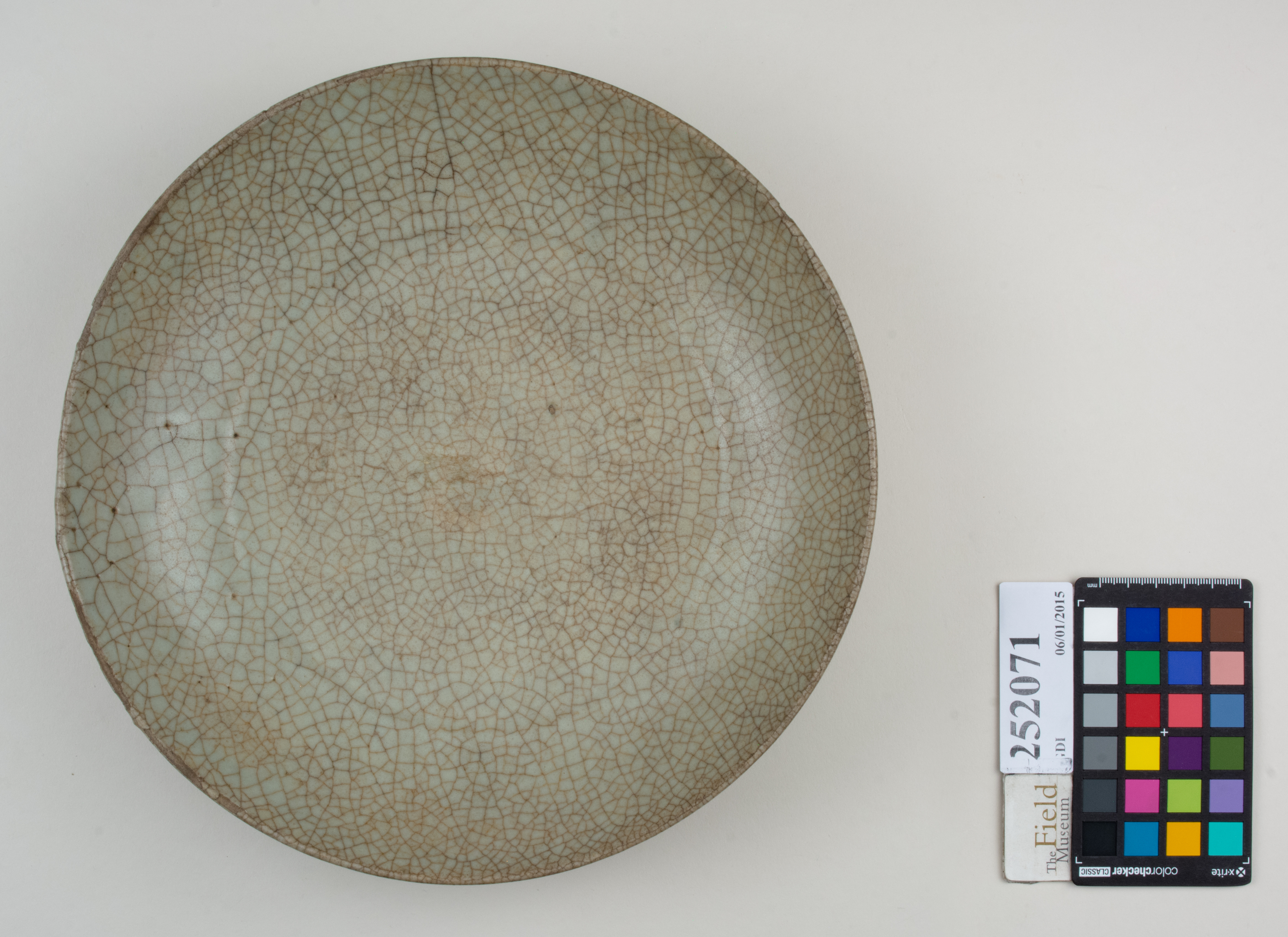 Top (c) Field Museum of Natural History - CC BY-NC 4.0