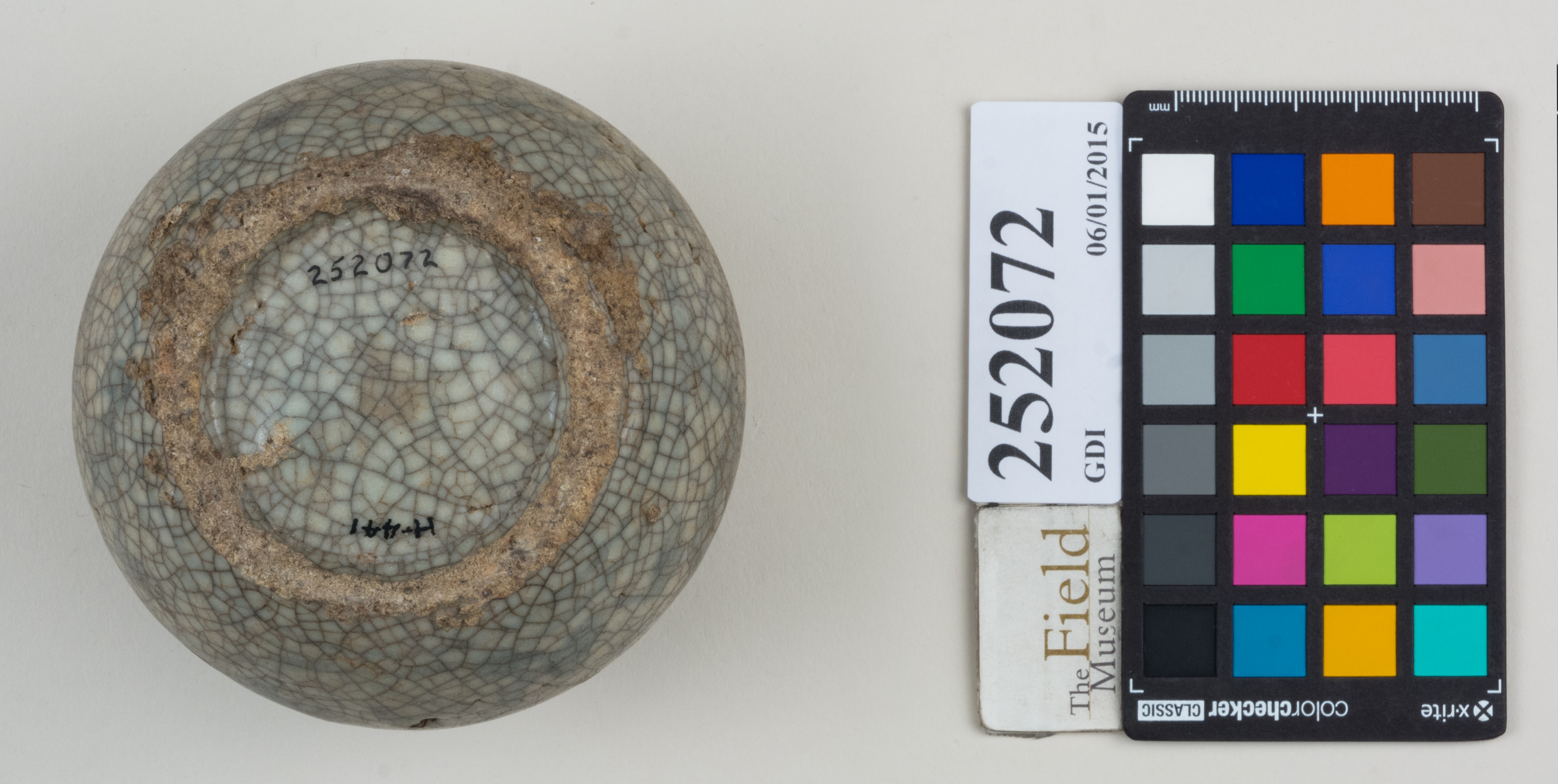 Bottom (c) Field Museum of Natural History - CC BY-NC 4.0