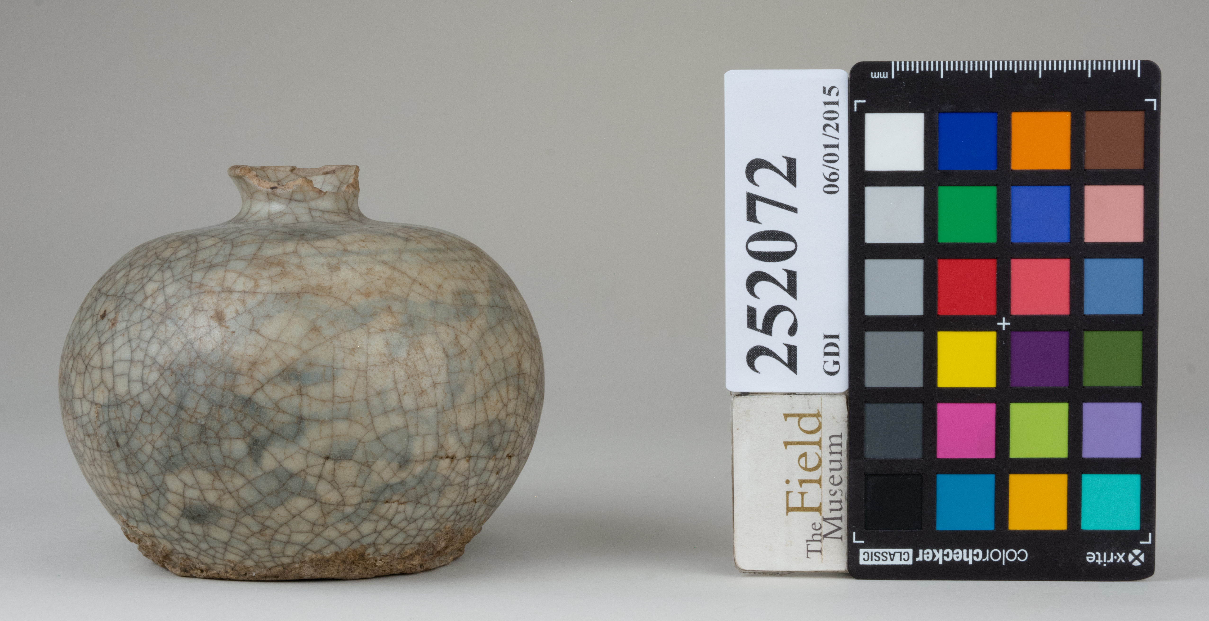 Front (c) Field Museum of Natural History - CC BY-NC 4.0