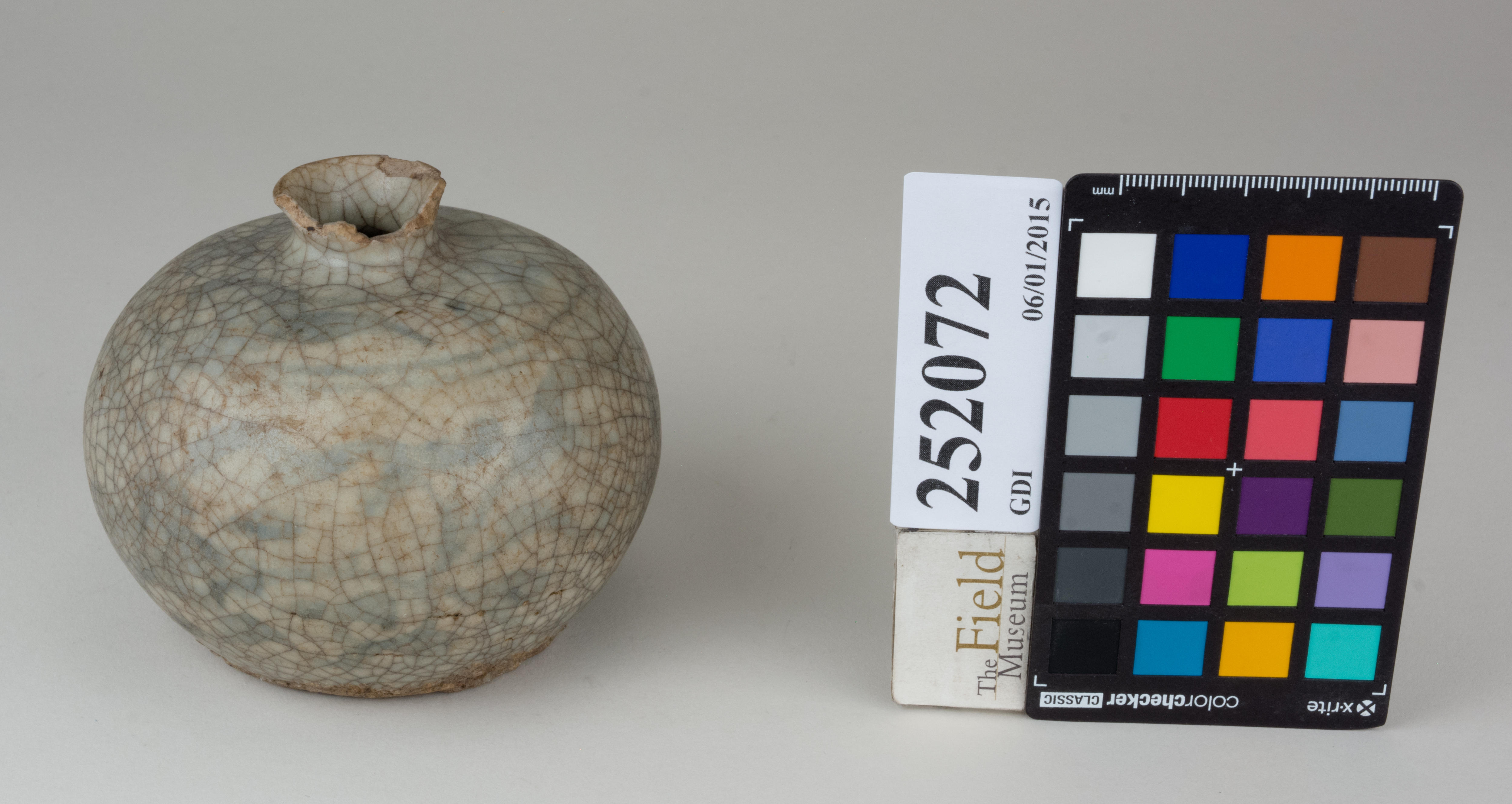 FrontAngle (c) Field Museum of Natural History - CC BY-NC 4.0