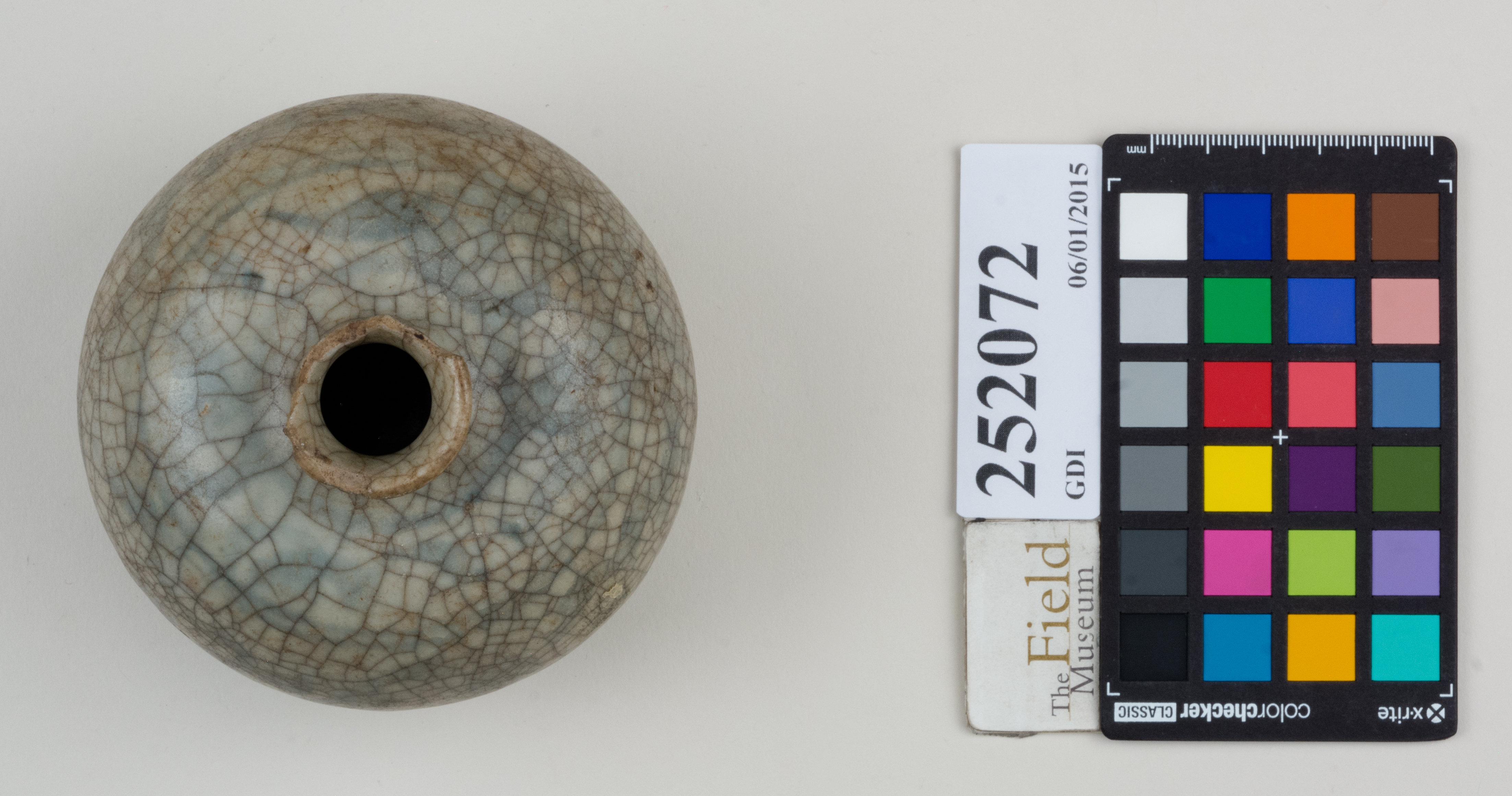 Top (c) Field Museum of Natural History - CC BY-NC 4.0