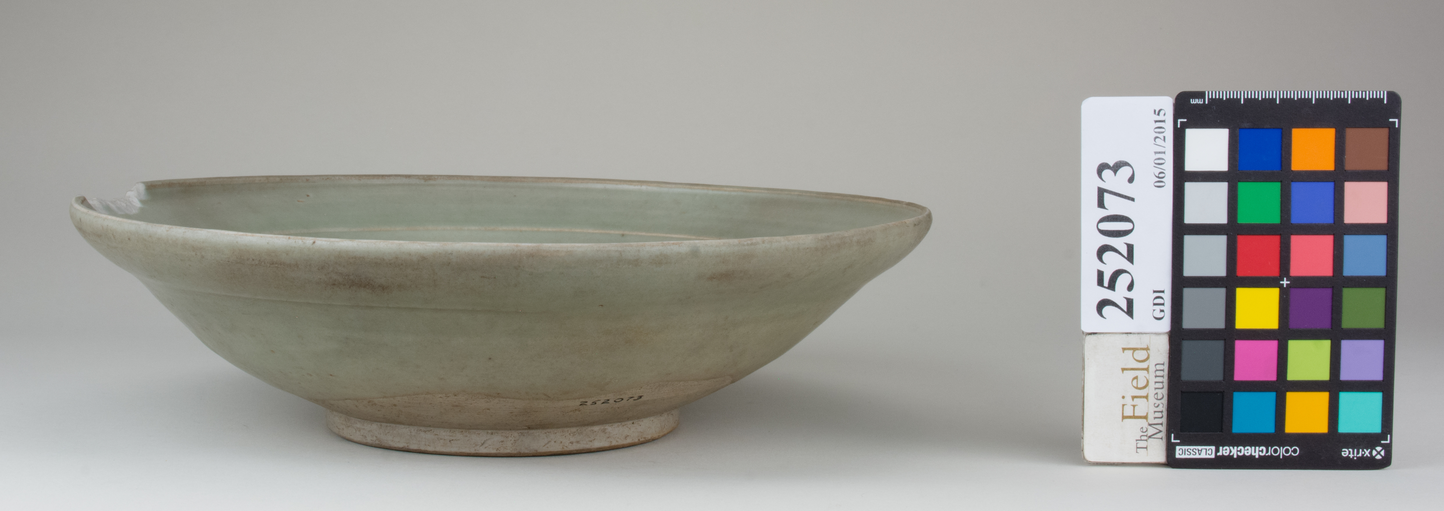 Front (c) Field Museum of Natural History - CC BY-NC 4.0