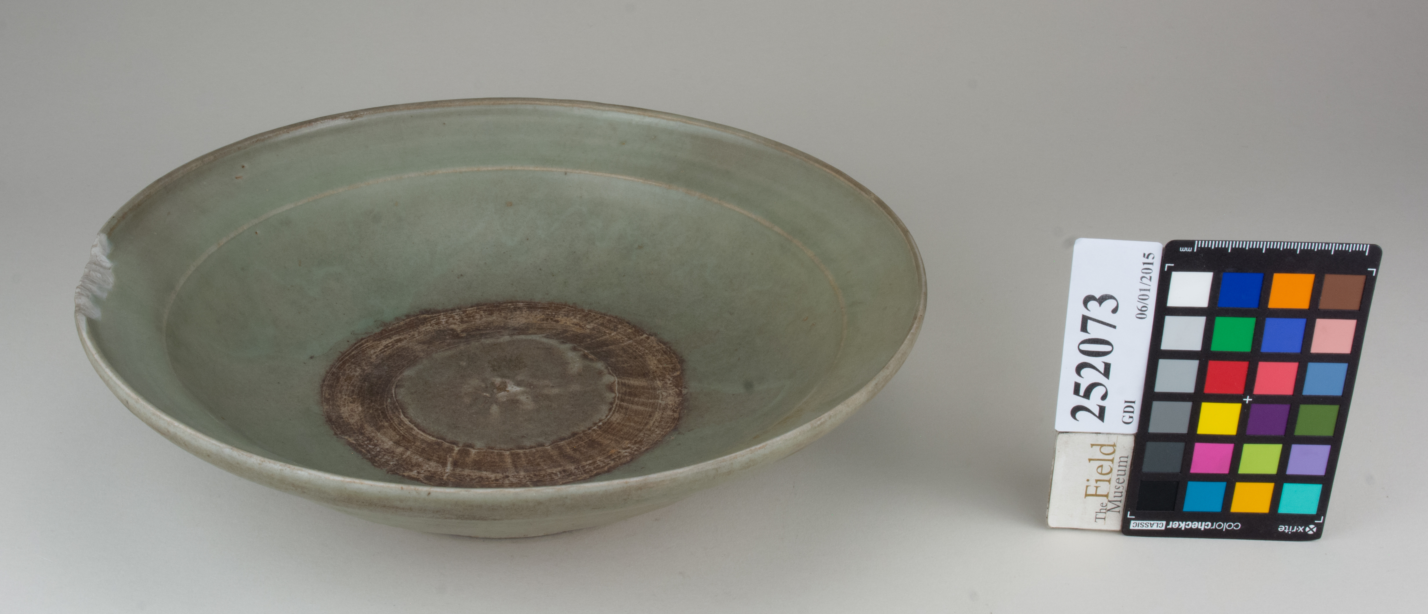 FrontAngle (c) Field Museum of Natural History - CC BY-NC 4.0