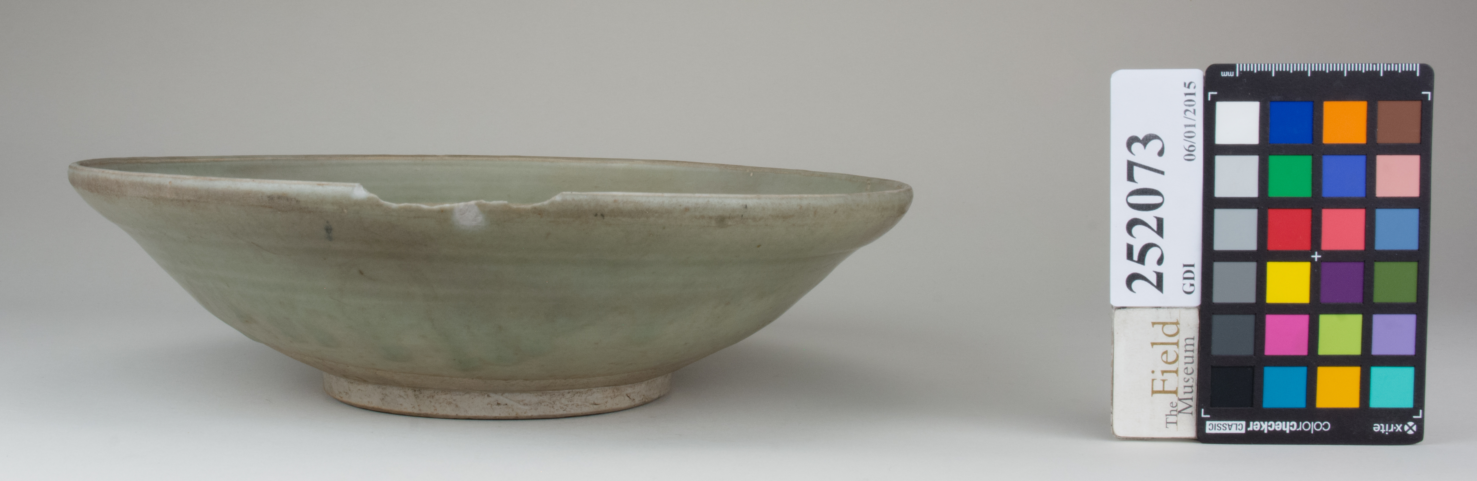 Right (c) Field Museum of Natural History - CC BY-NC 4.0