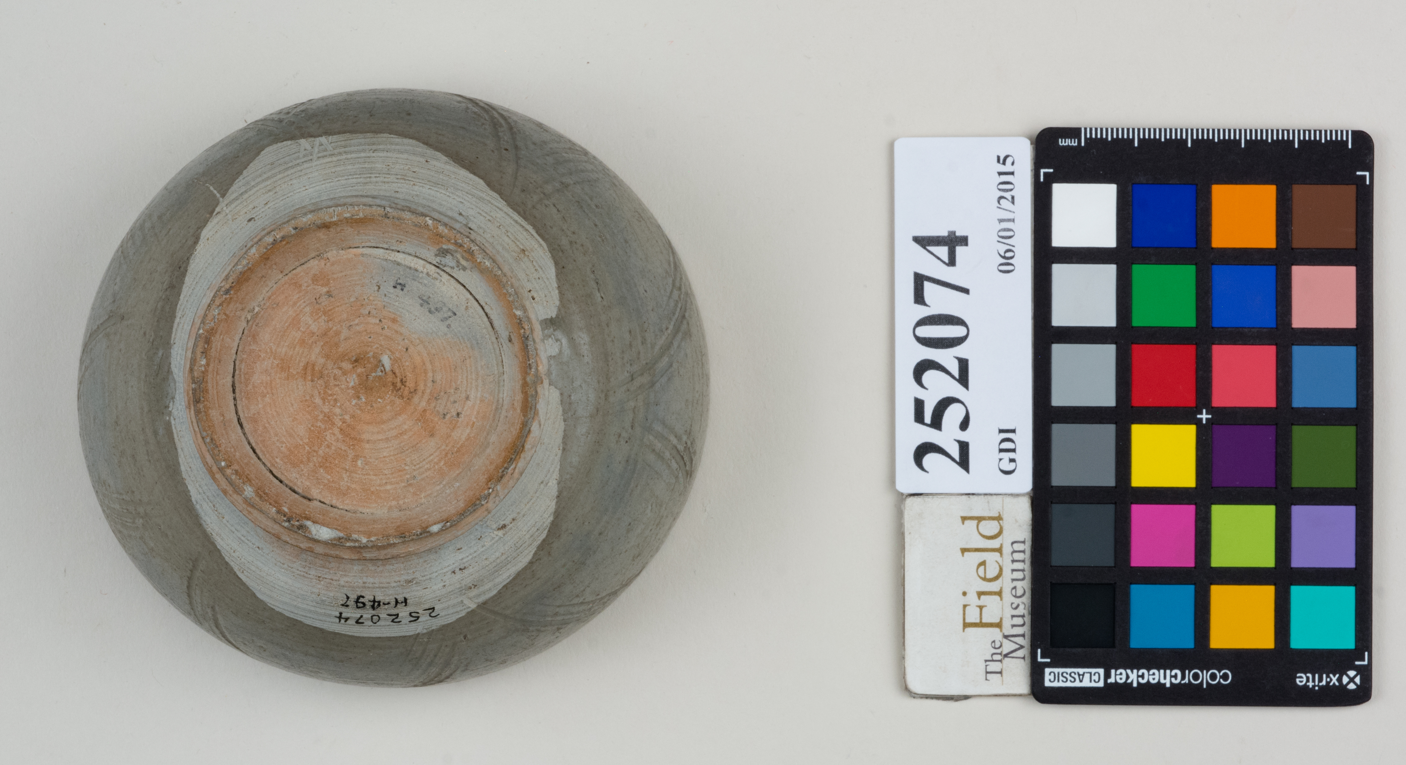 Bottom (c) Field Museum of Natural History - CC BY-NC 4.0