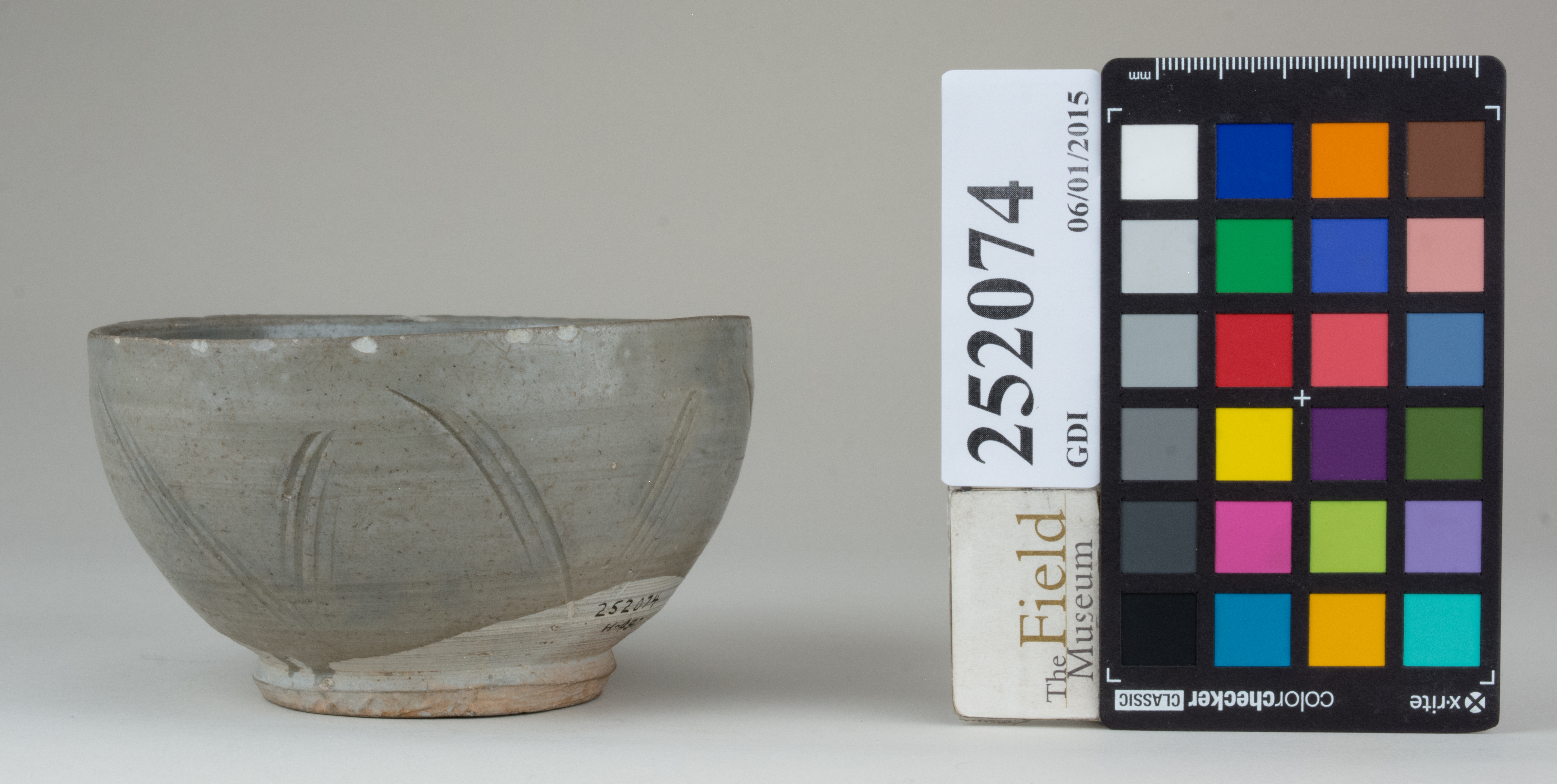 Right (c) Field Museum of Natural History - CC BY-NC 4.0