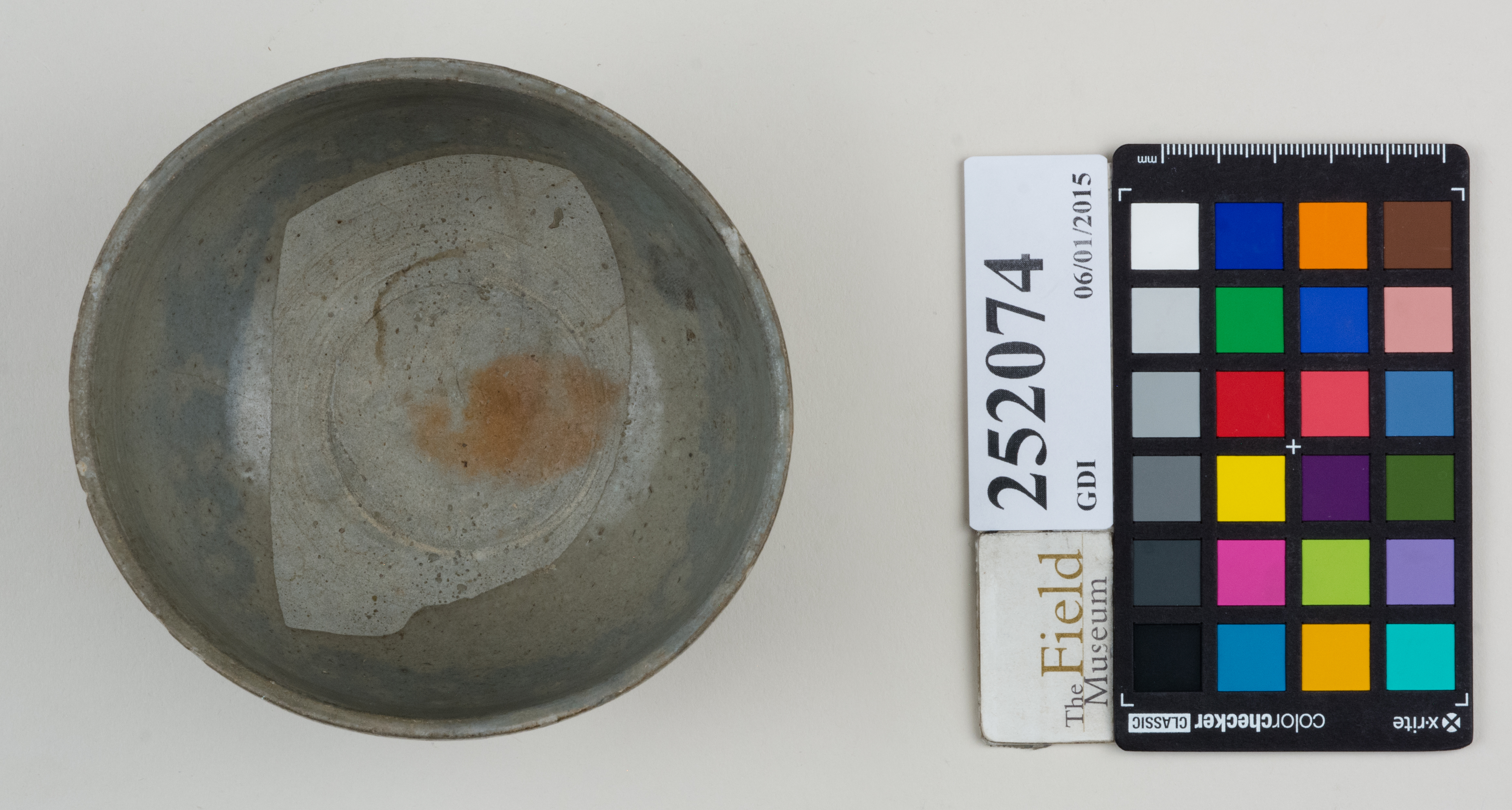 Top (c) Field Museum of Natural History - CC BY-NC 4.0