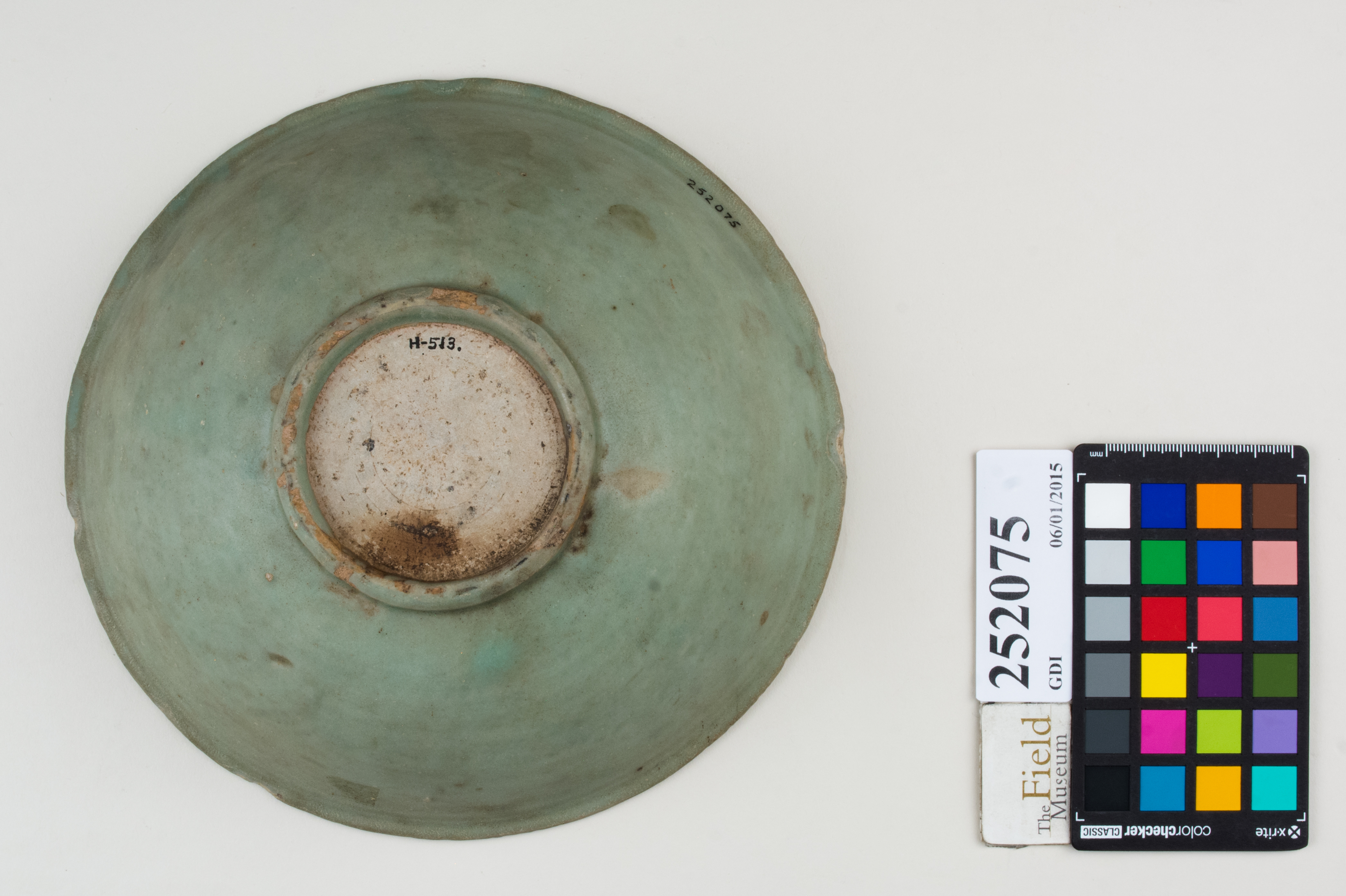 Bottom (c) Field Museum of Natural History - CC BY-NC 4.0