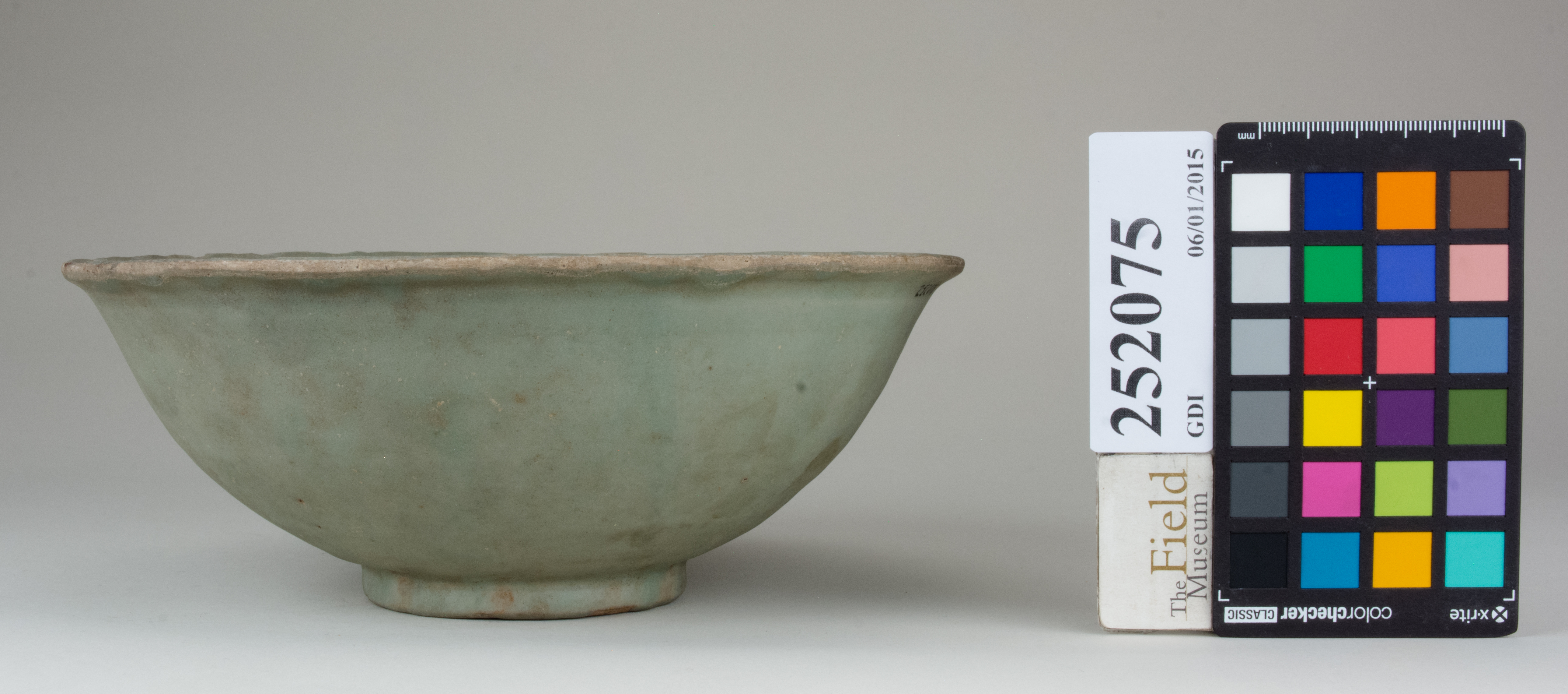 Right (c) Field Museum of Natural History - CC BY-NC 4.0