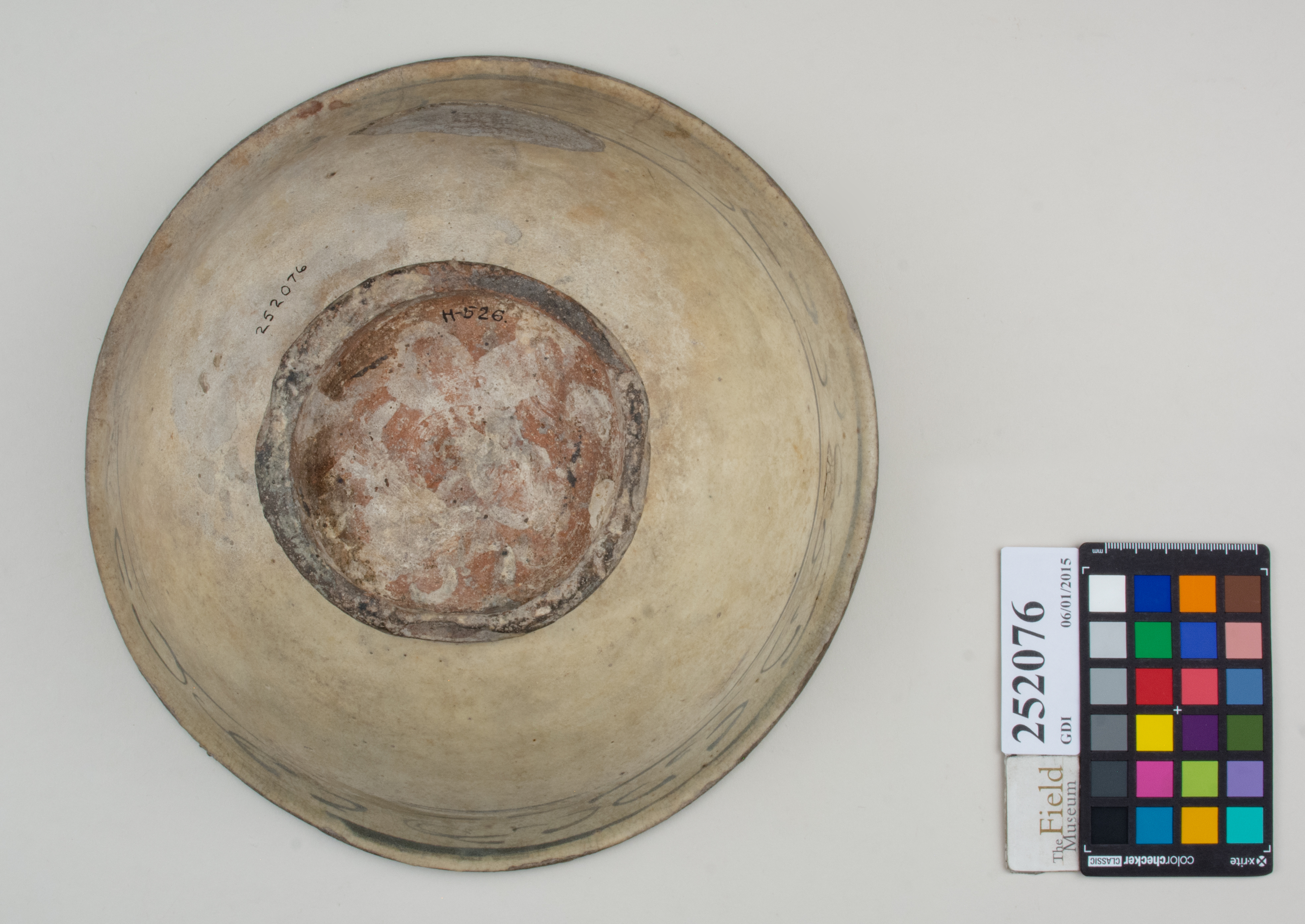 Bottom (c) Field Museum of Natural History - CC BY-NC 4.0