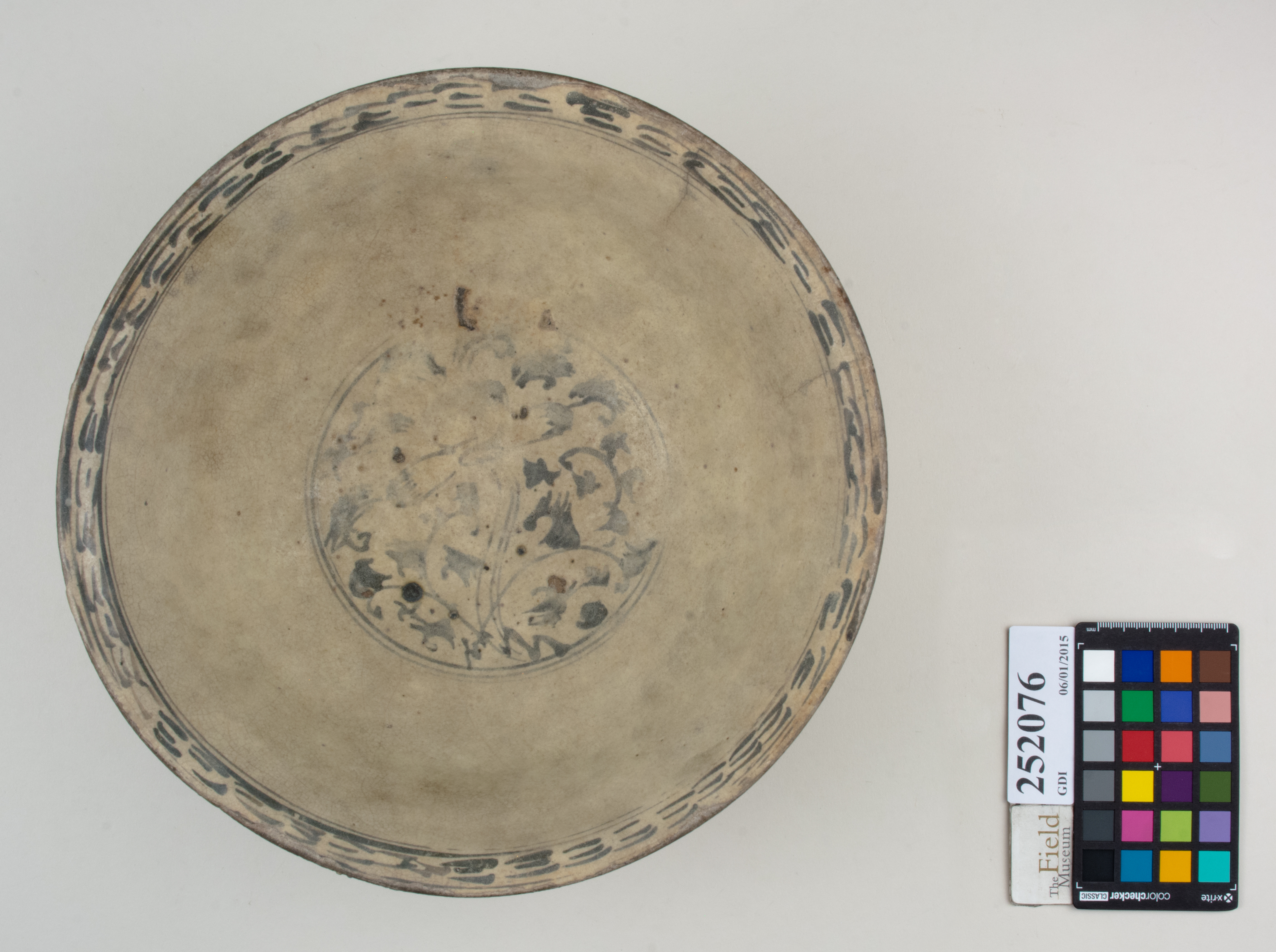 Top (c) Field Museum of Natural History - CC BY-NC 4.0