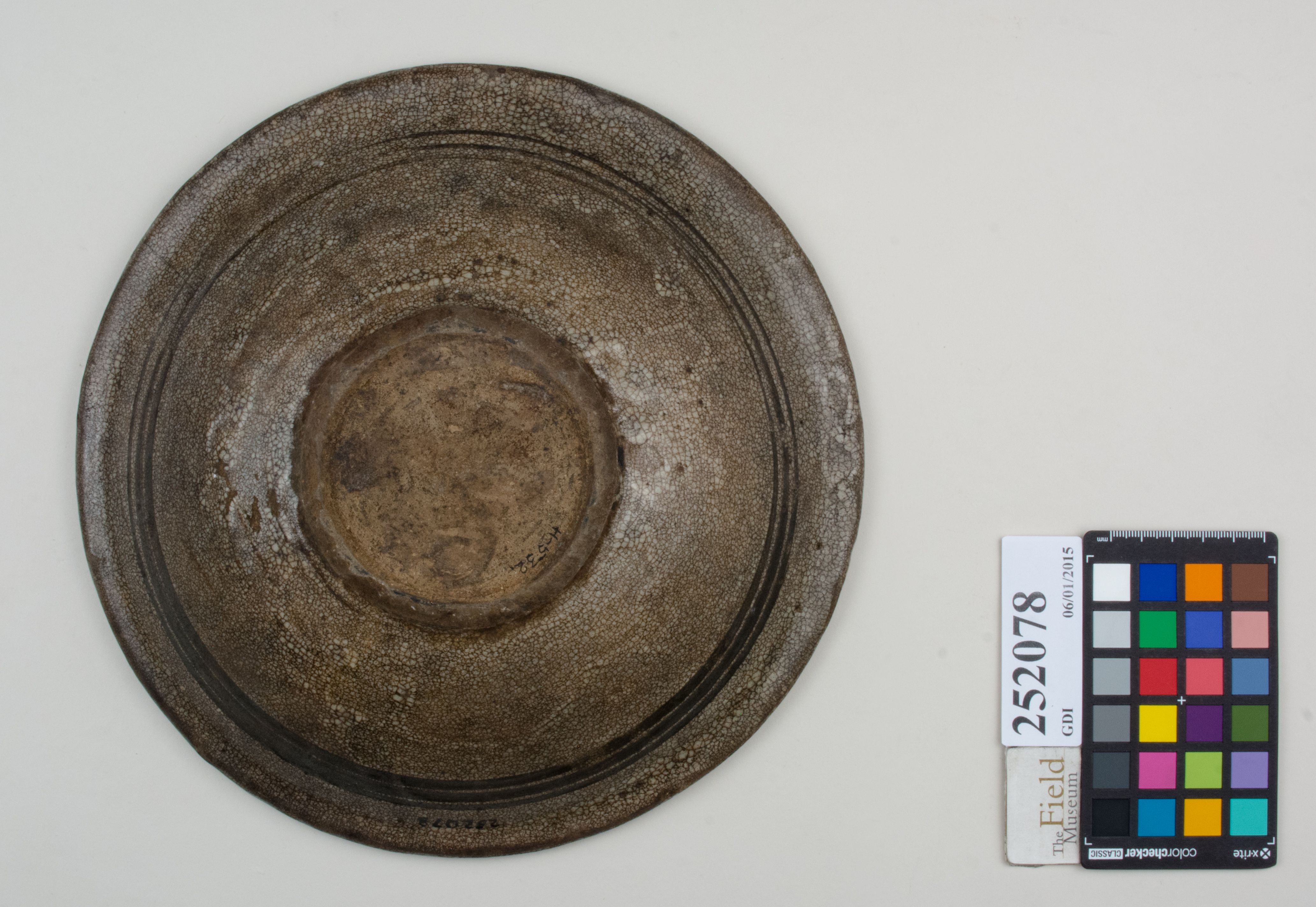 Bottom (c) Field Museum of Natural History - CC BY-NC 4.0