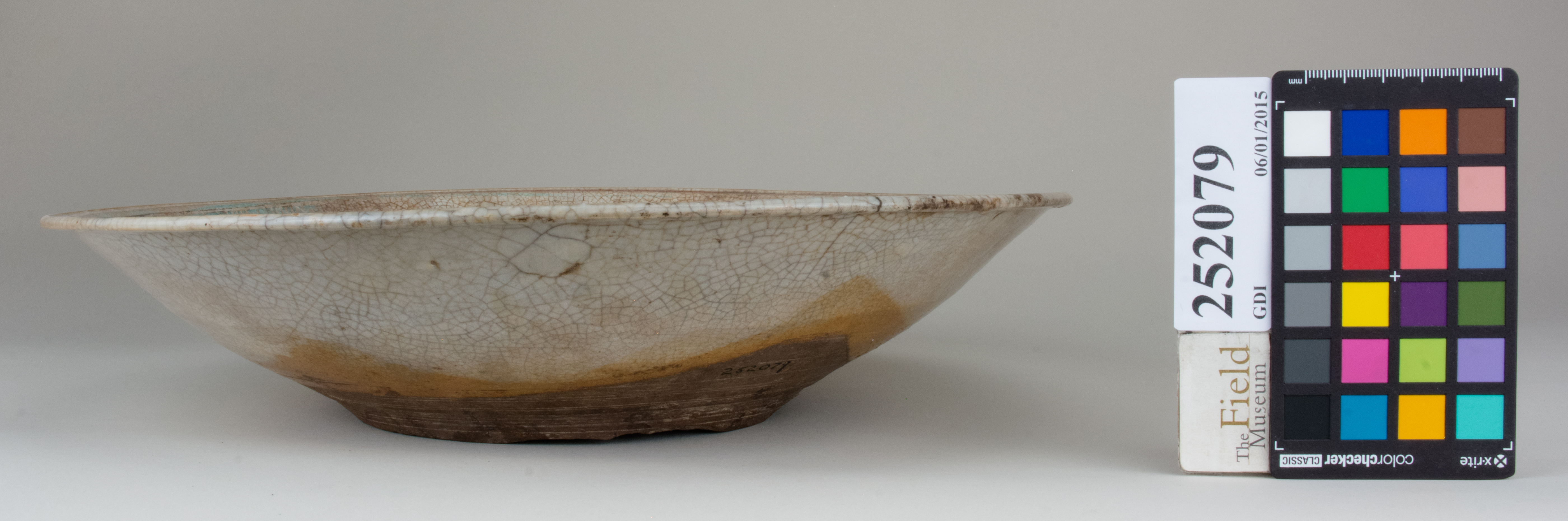 Front (c) Field Museum of Natural History - CC BY-NC 4.0