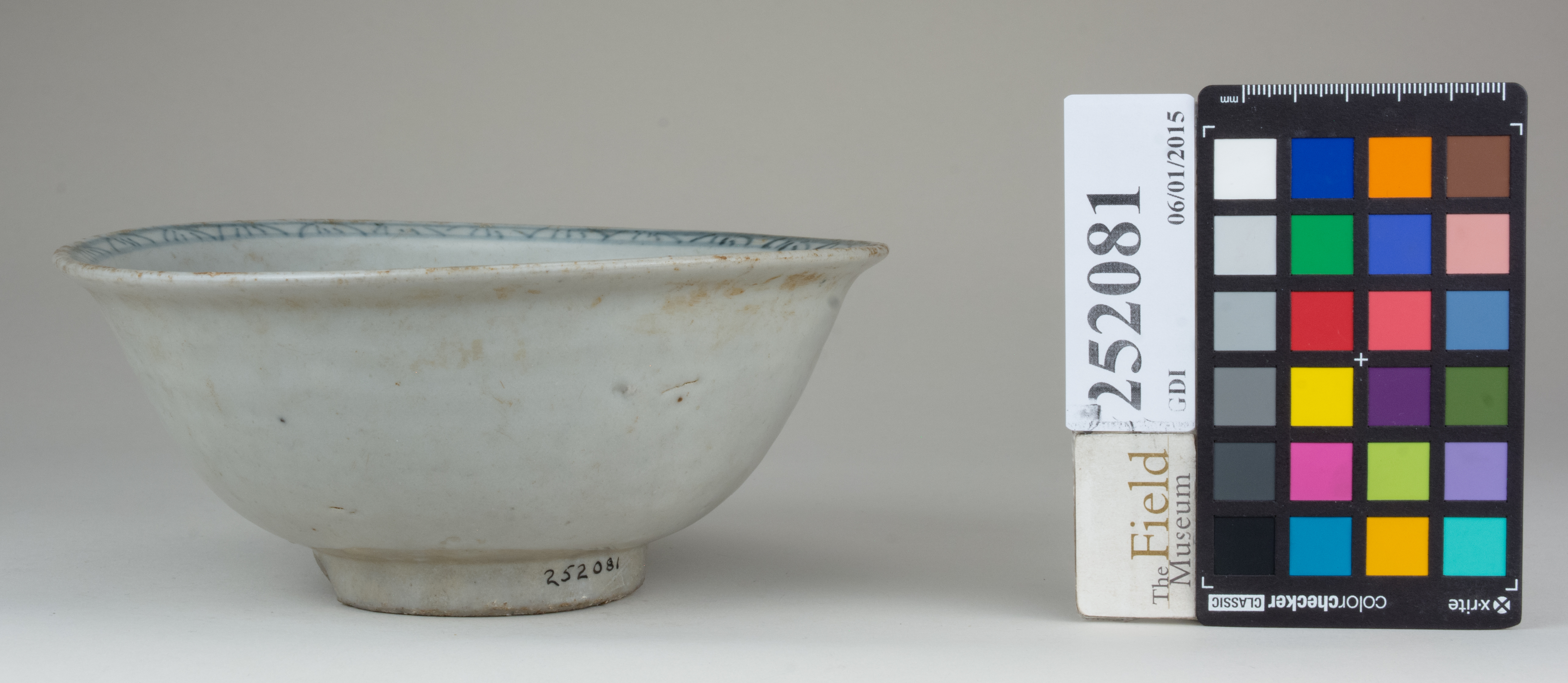 reference image, back (c) Field Museum of Natural History - CC BY-NC 4.0