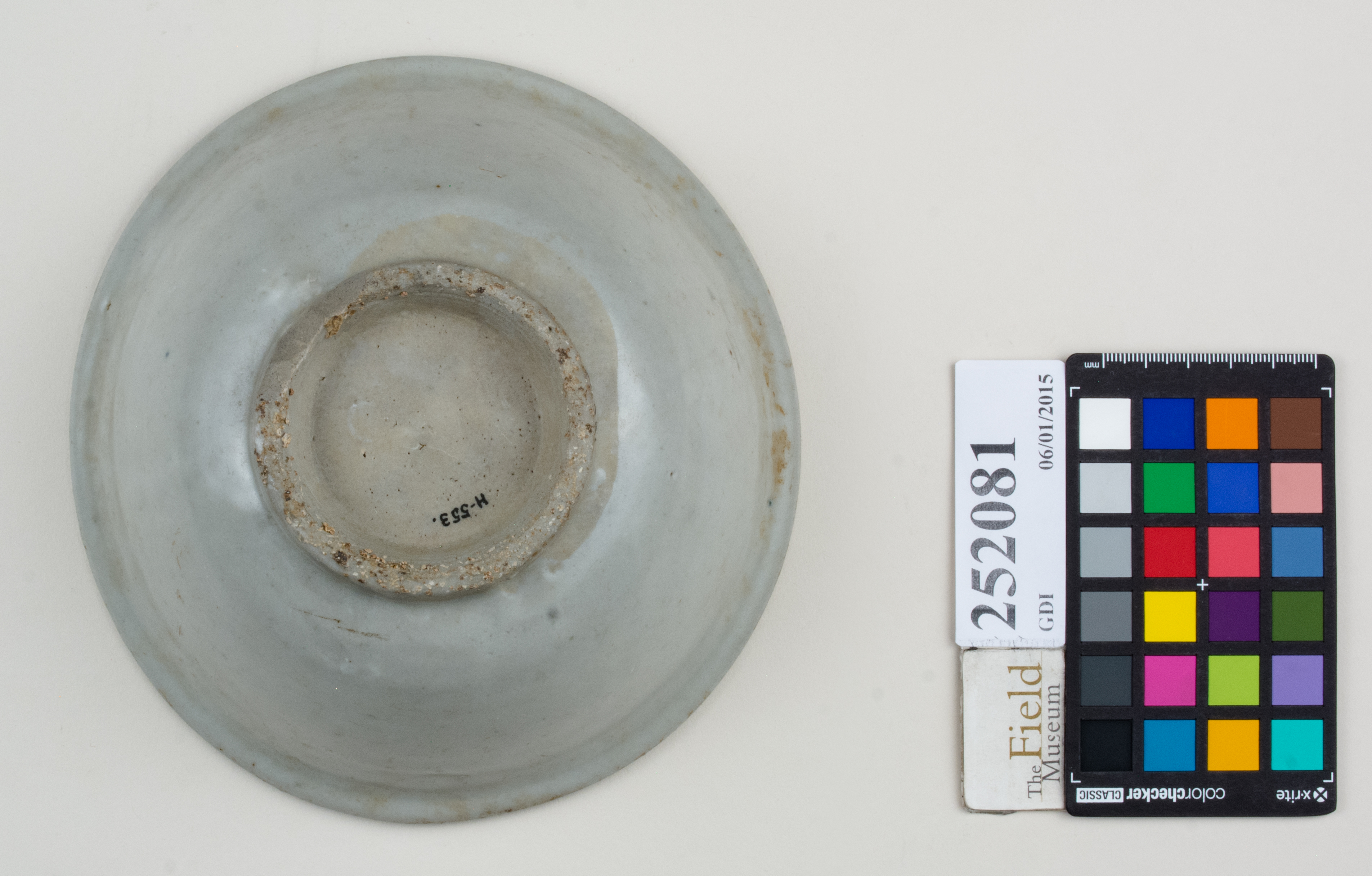 Bottom (c) Field Museum of Natural History - CC BY-NC 4.0