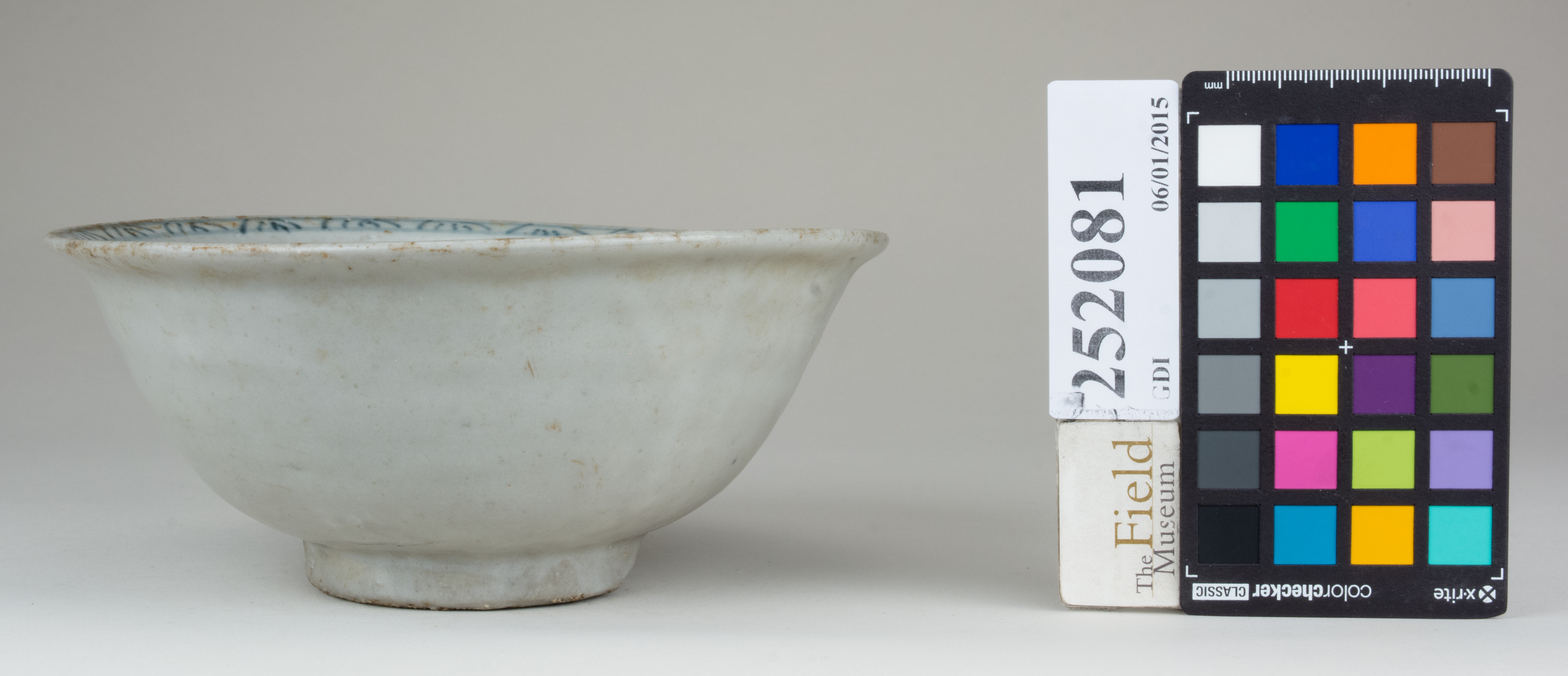 Front (c) Field Museum of Natural History - CC BY-NC 4.0