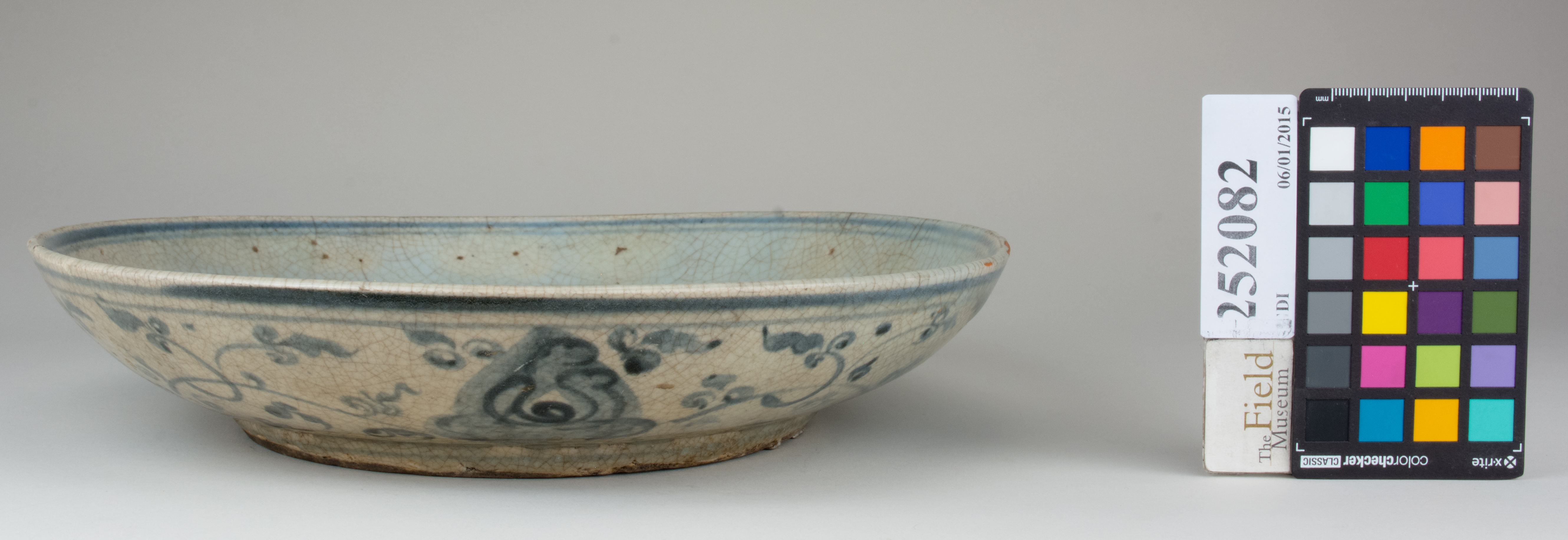 reference image, back (c) Field Museum of Natural History - CC BY-NC 4.0