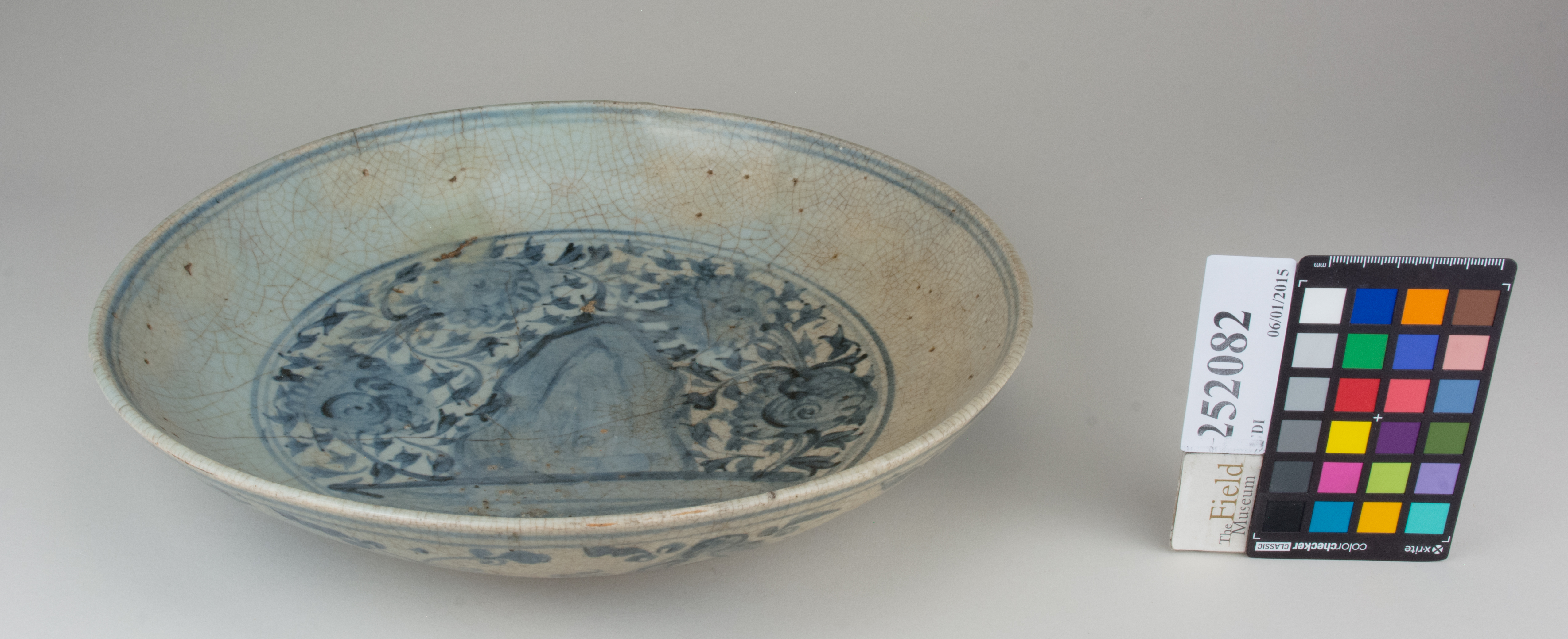 FrontAngle (c) Field Museum of Natural History - CC BY-NC 4.0