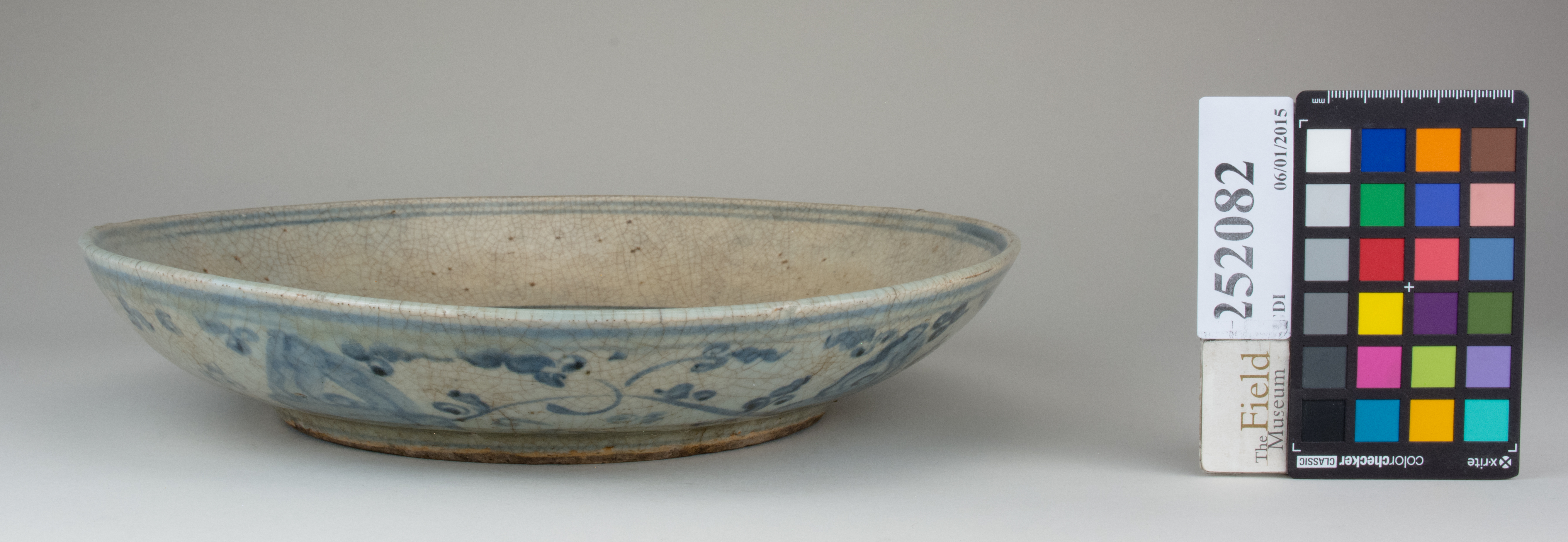 Right (c) Field Museum of Natural History - CC BY-NC 4.0