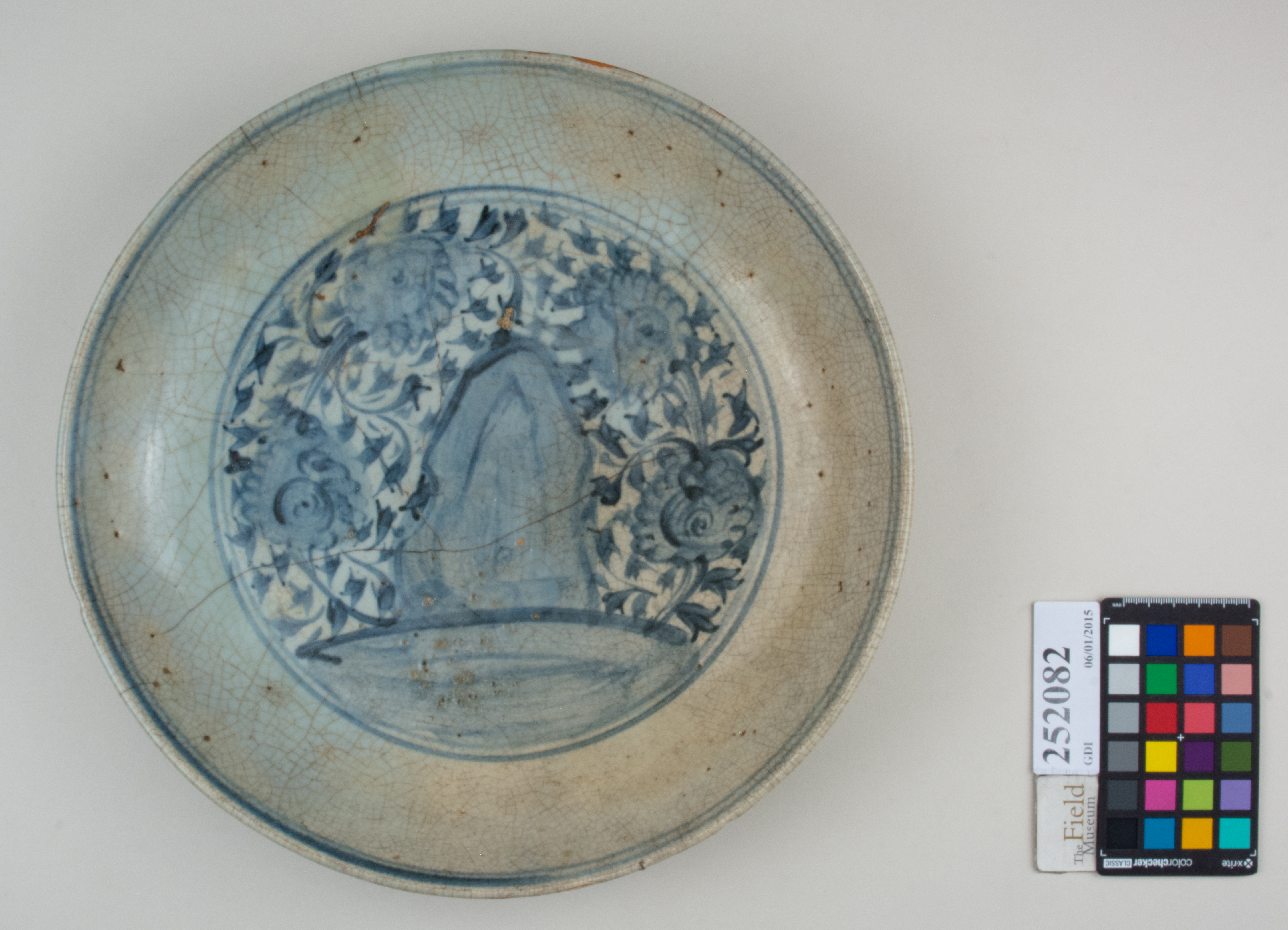 Top (c) Field Museum of Natural History - CC BY-NC 4.0