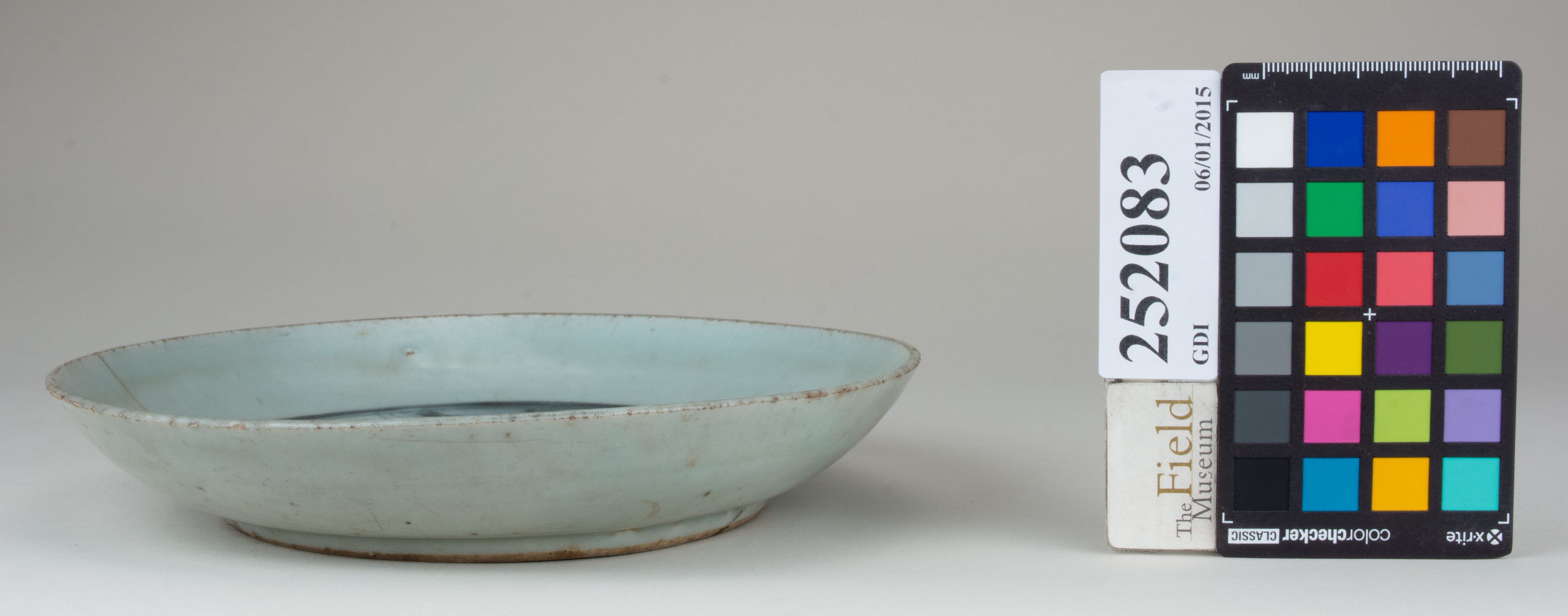 reference image, back (c) Field Museum of Natural History - CC BY-NC 4.0